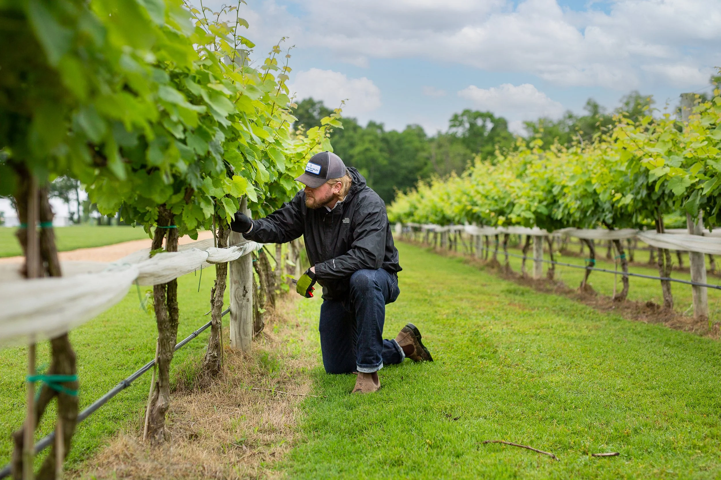 C11A7374-edit copy.jpg