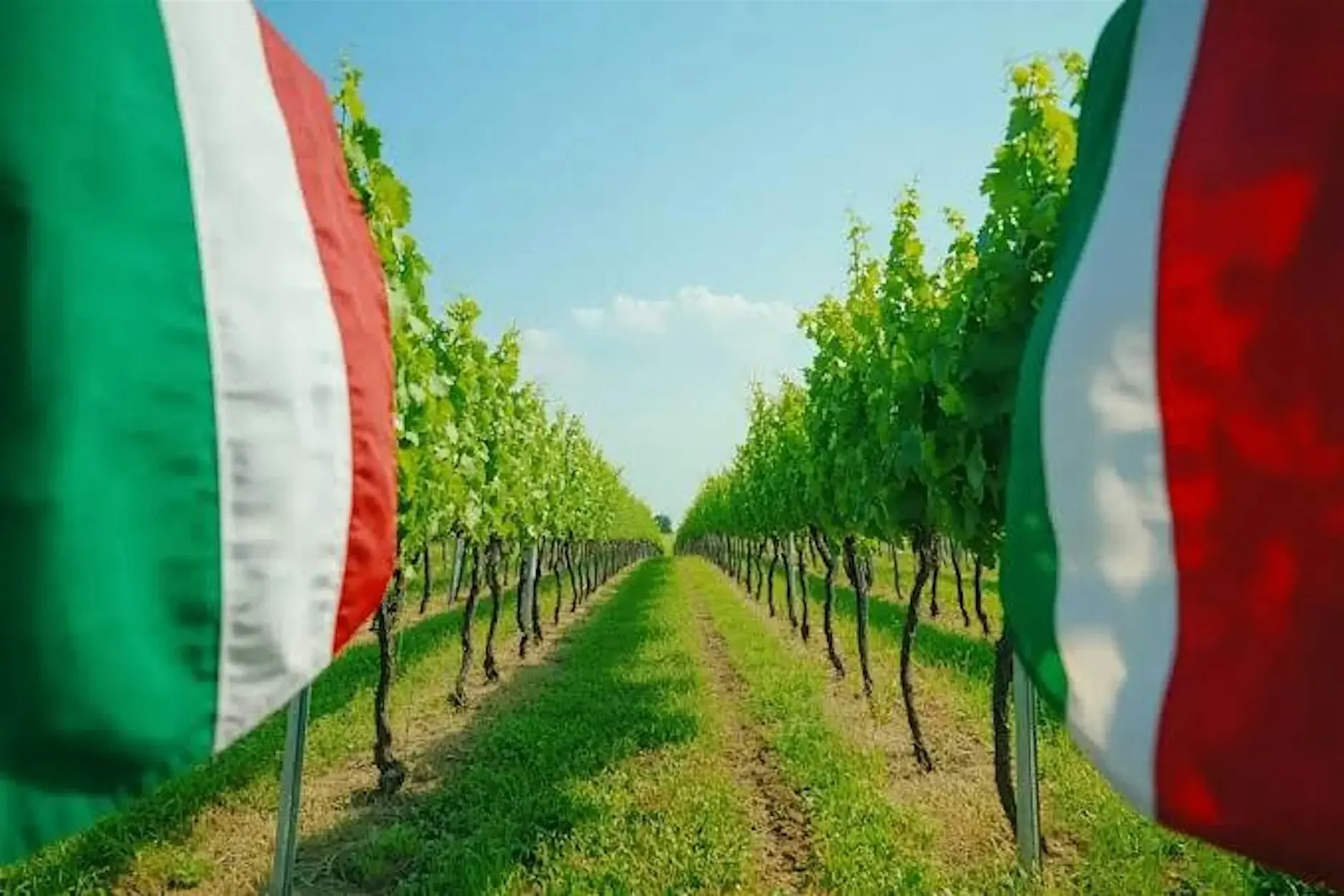 Passport to Italy: Wine &amp; Dinner