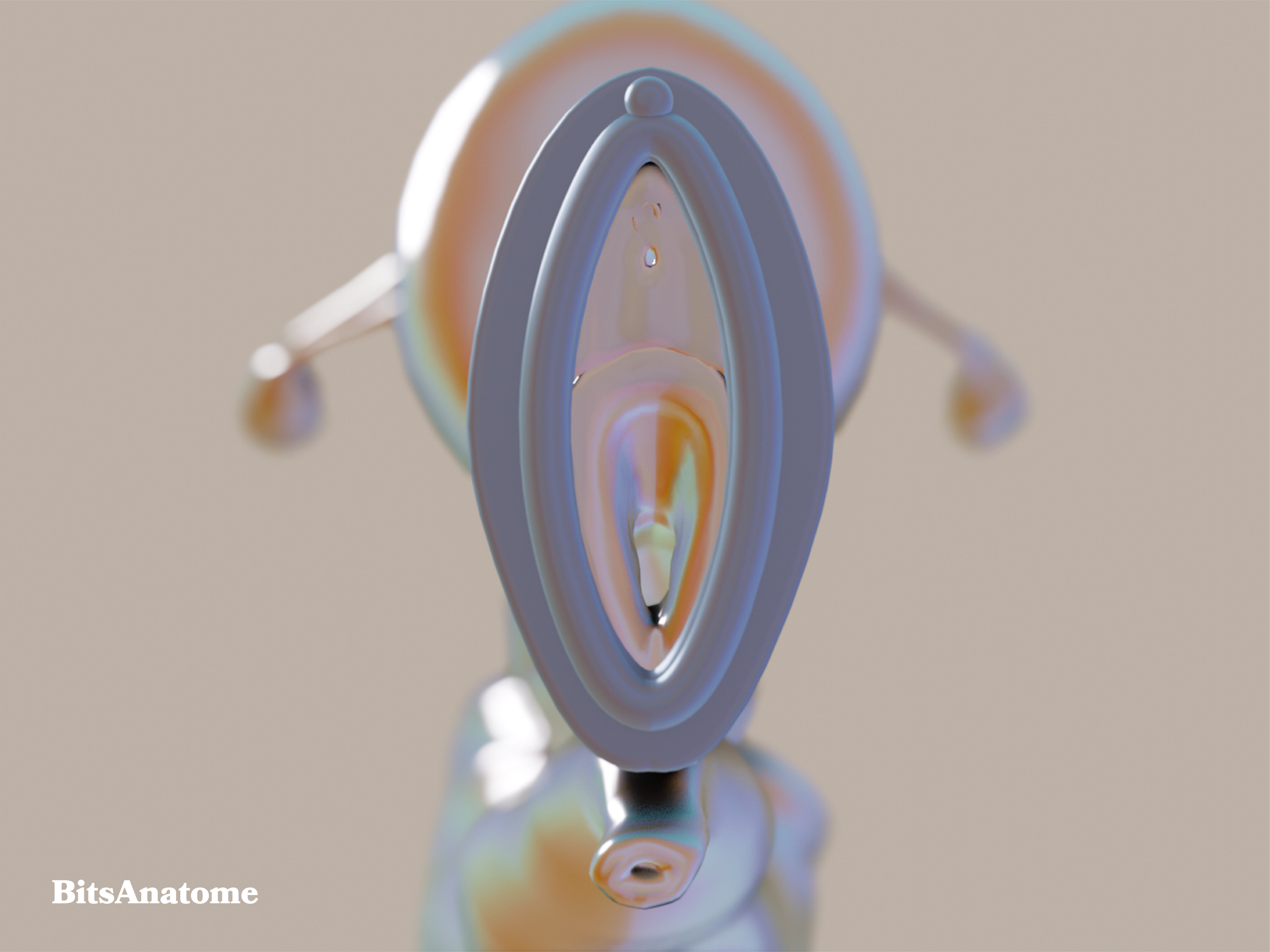 BitsAnatome