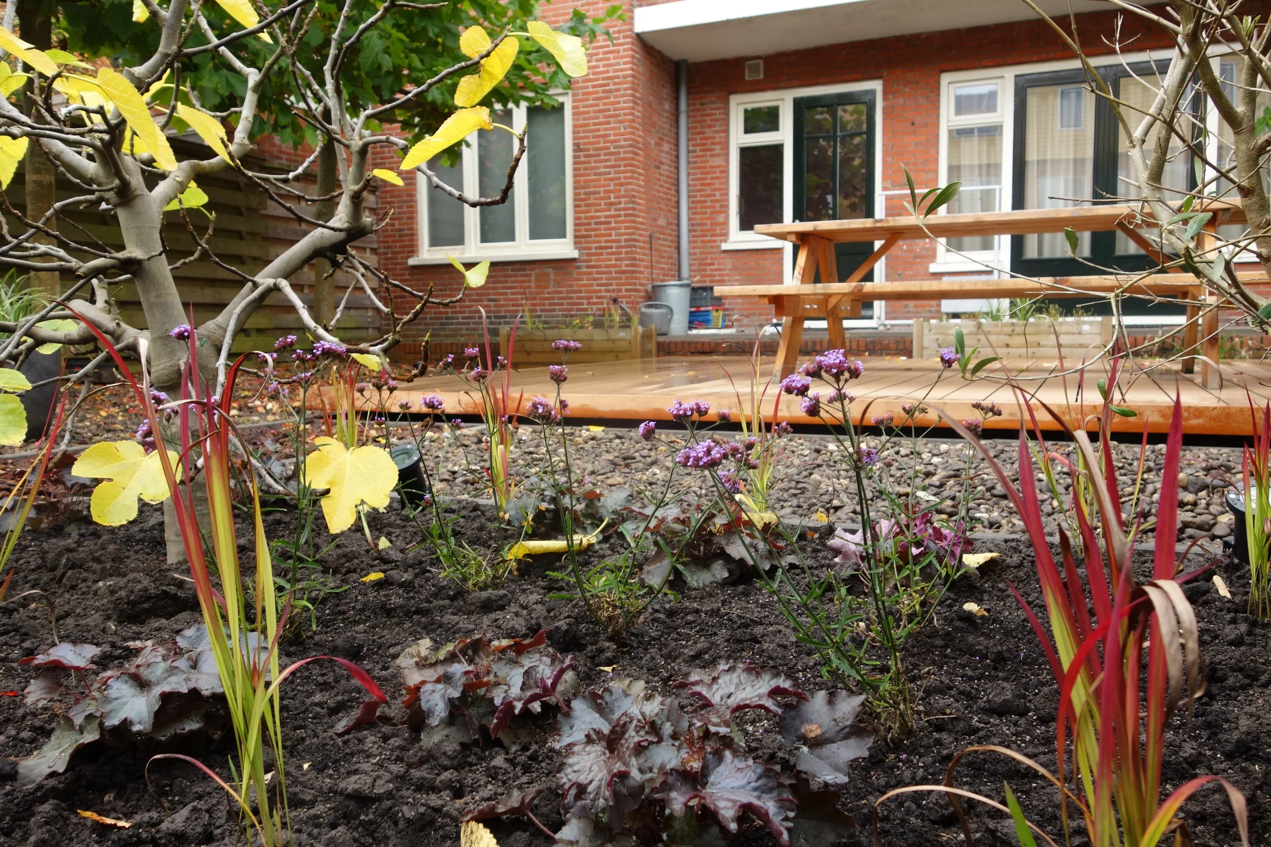 border en vlonder.JPG