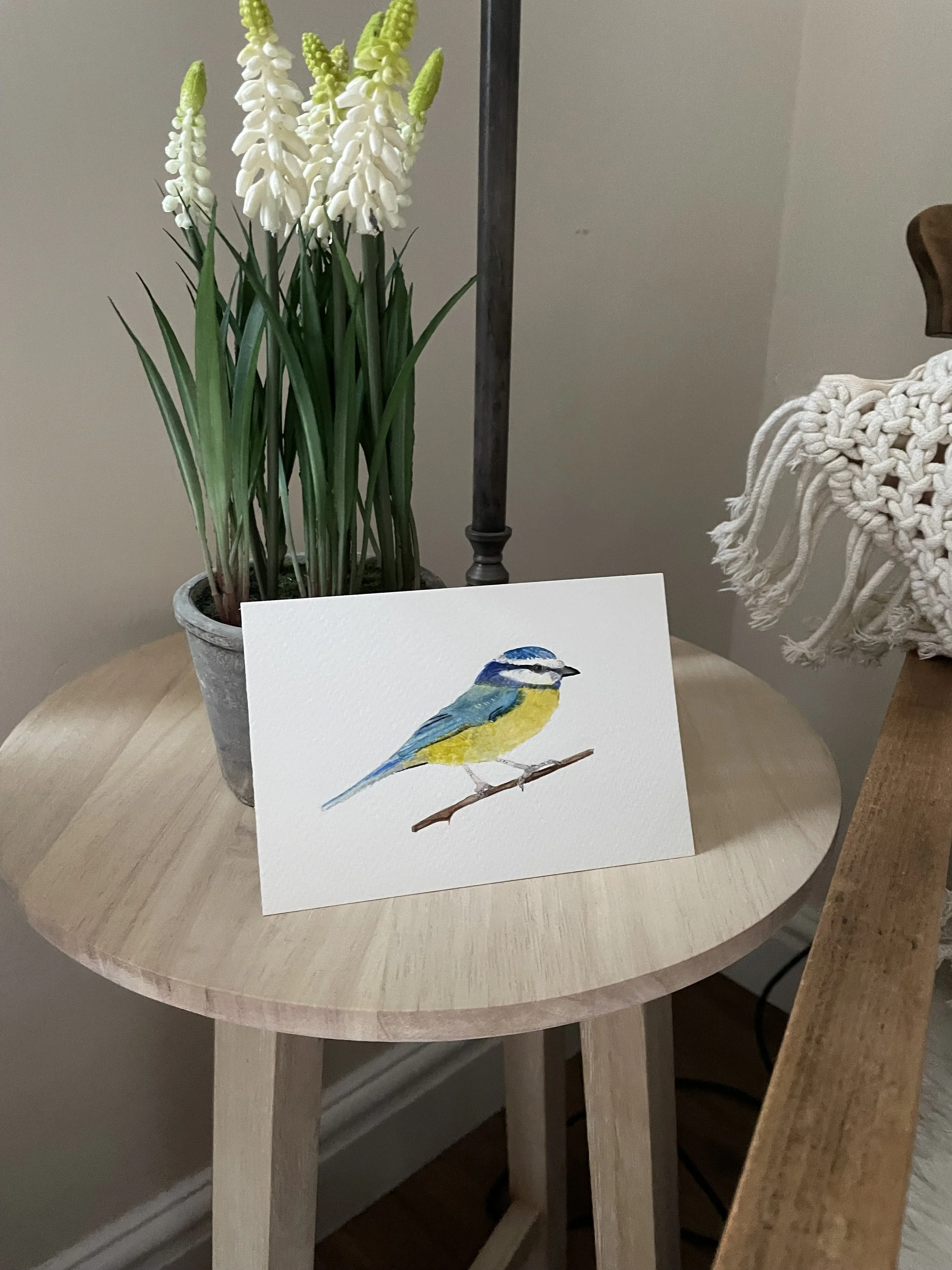 Blue tit original watercolour illustration
