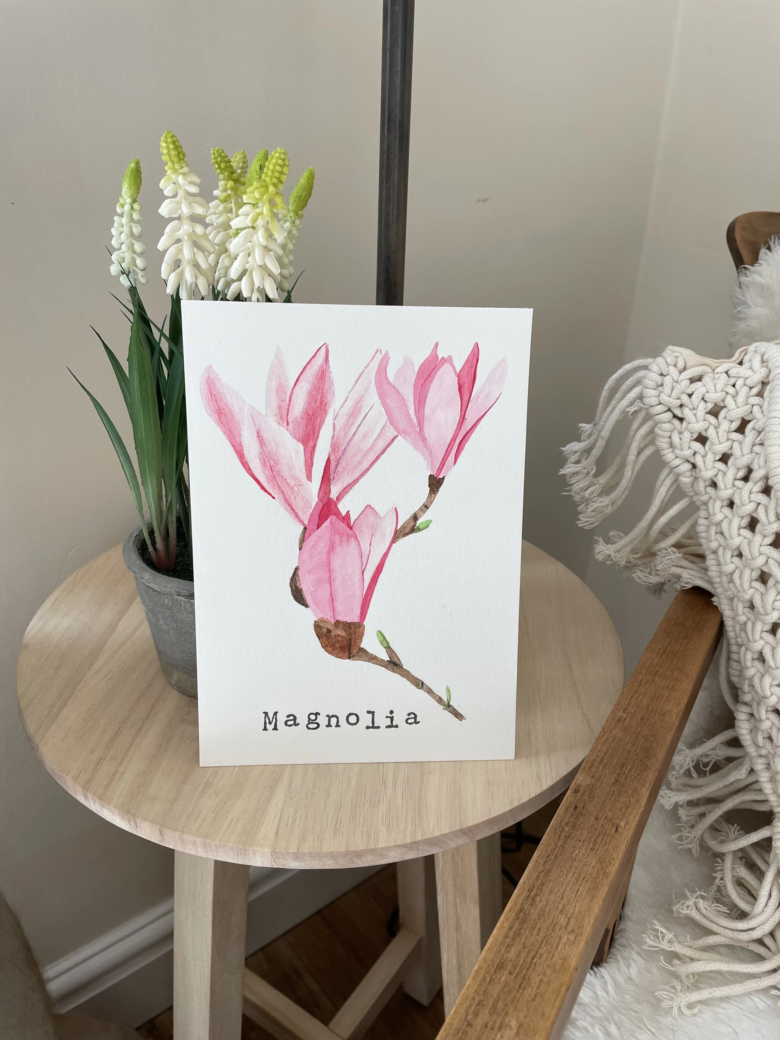 Original Magnolia Illustration