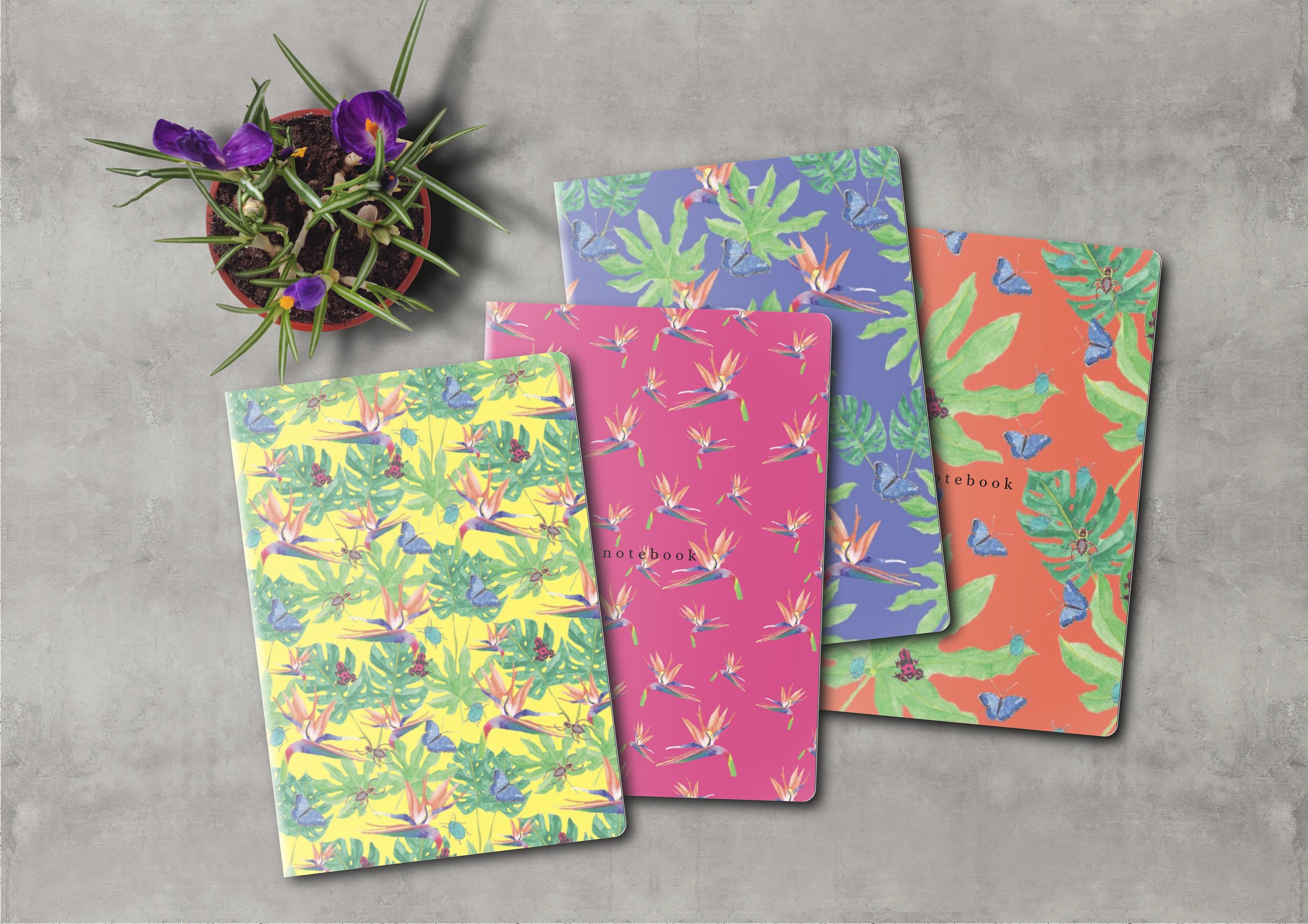 Jungle bugs notebooks.jpg