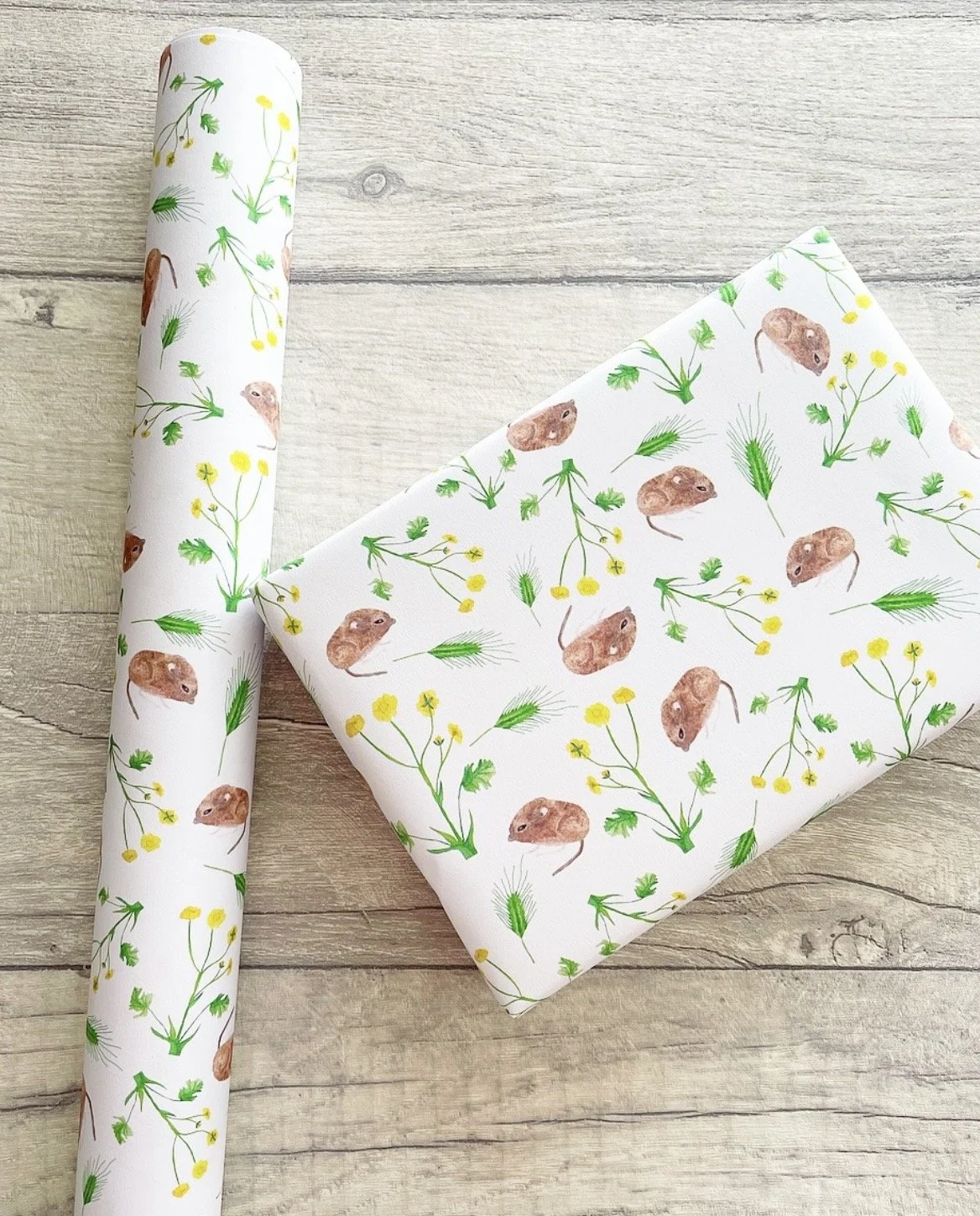 Mouse and Buttercup wrapping paper