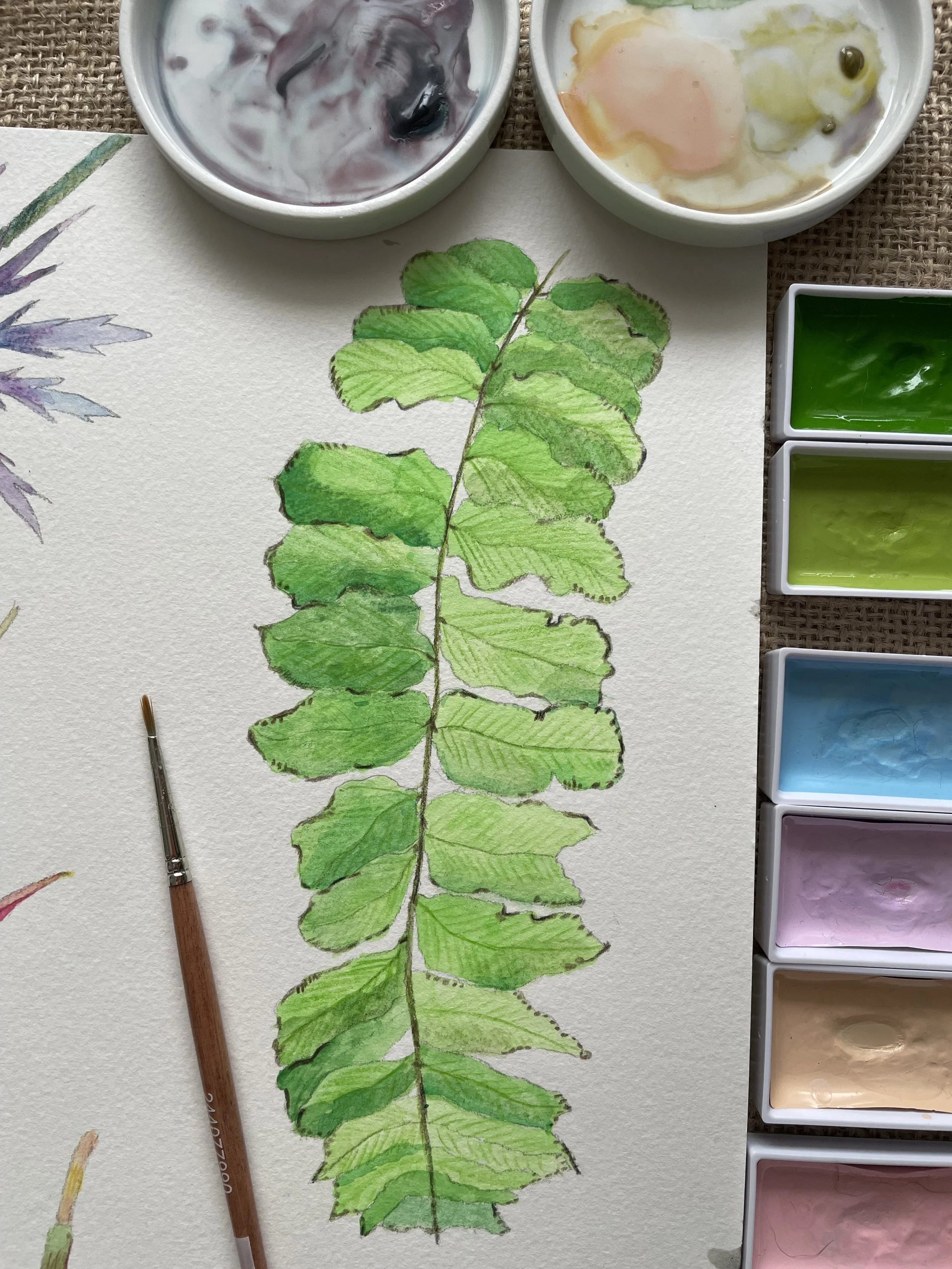 A fern leaf painted in Gansai watercolour paints, edged with watercolour pencils.