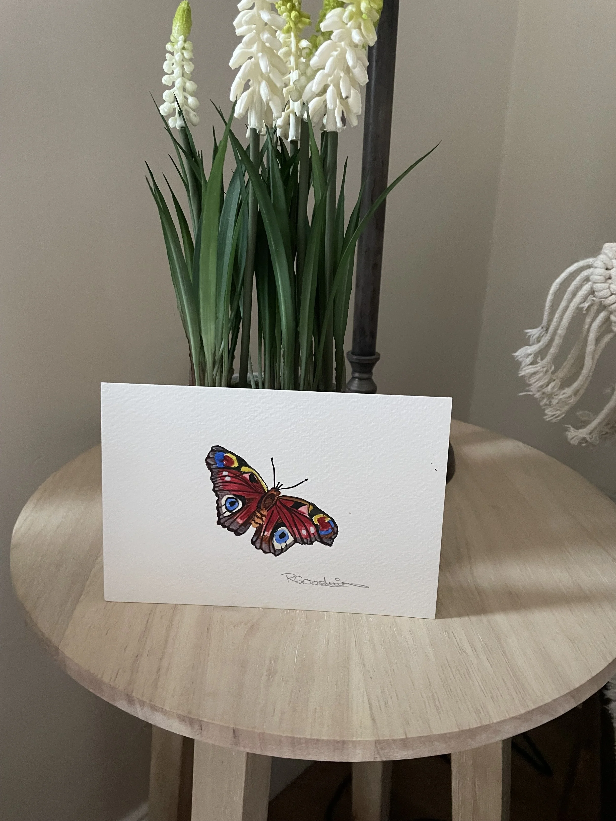 Peacock butterfly original illustration and painted in watercolours