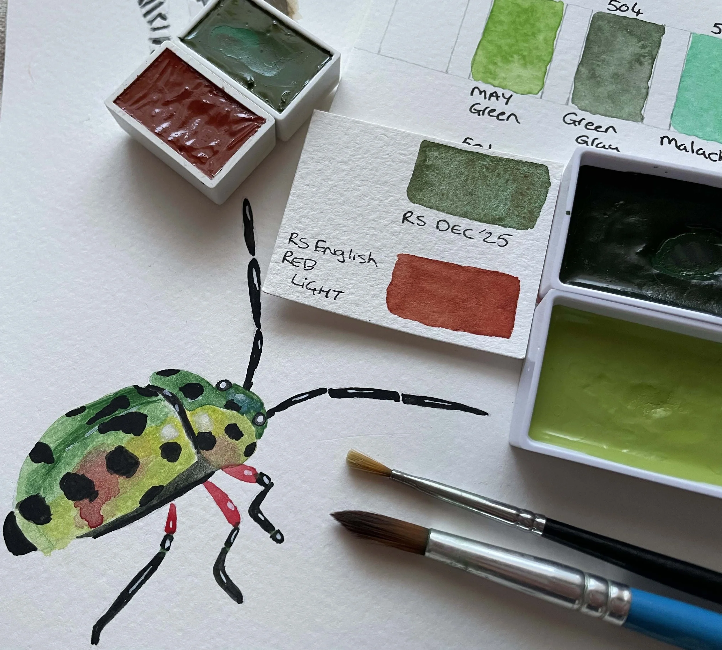 Beetle.jpg