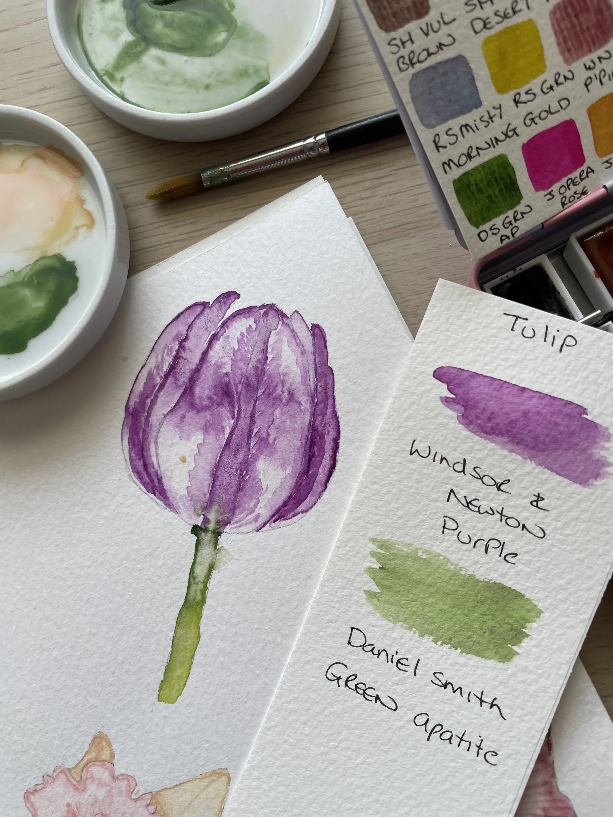 A loose watercolour tulip painted with different watercolour makes.