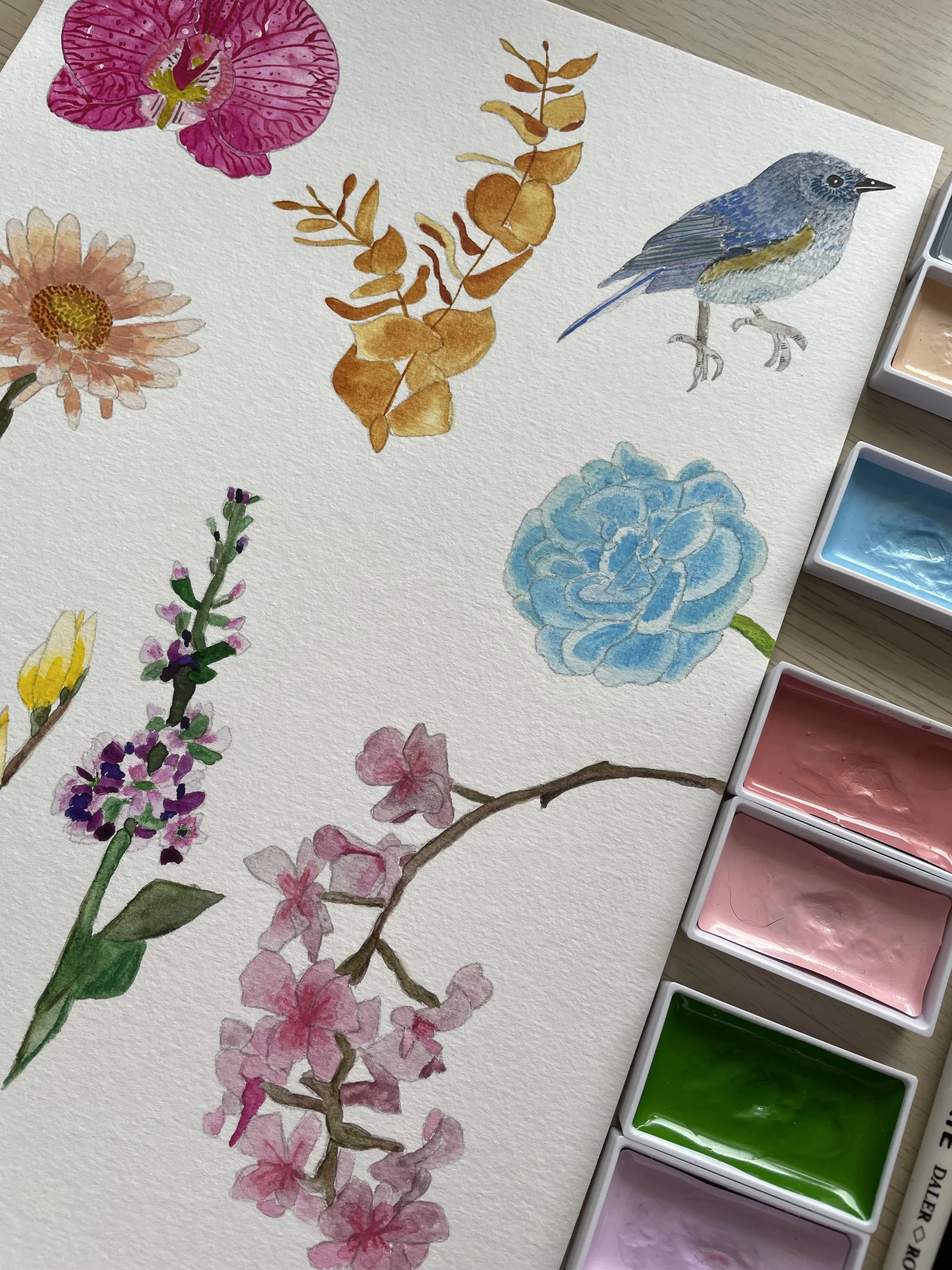 A page out of my sketchbook, watercolours.