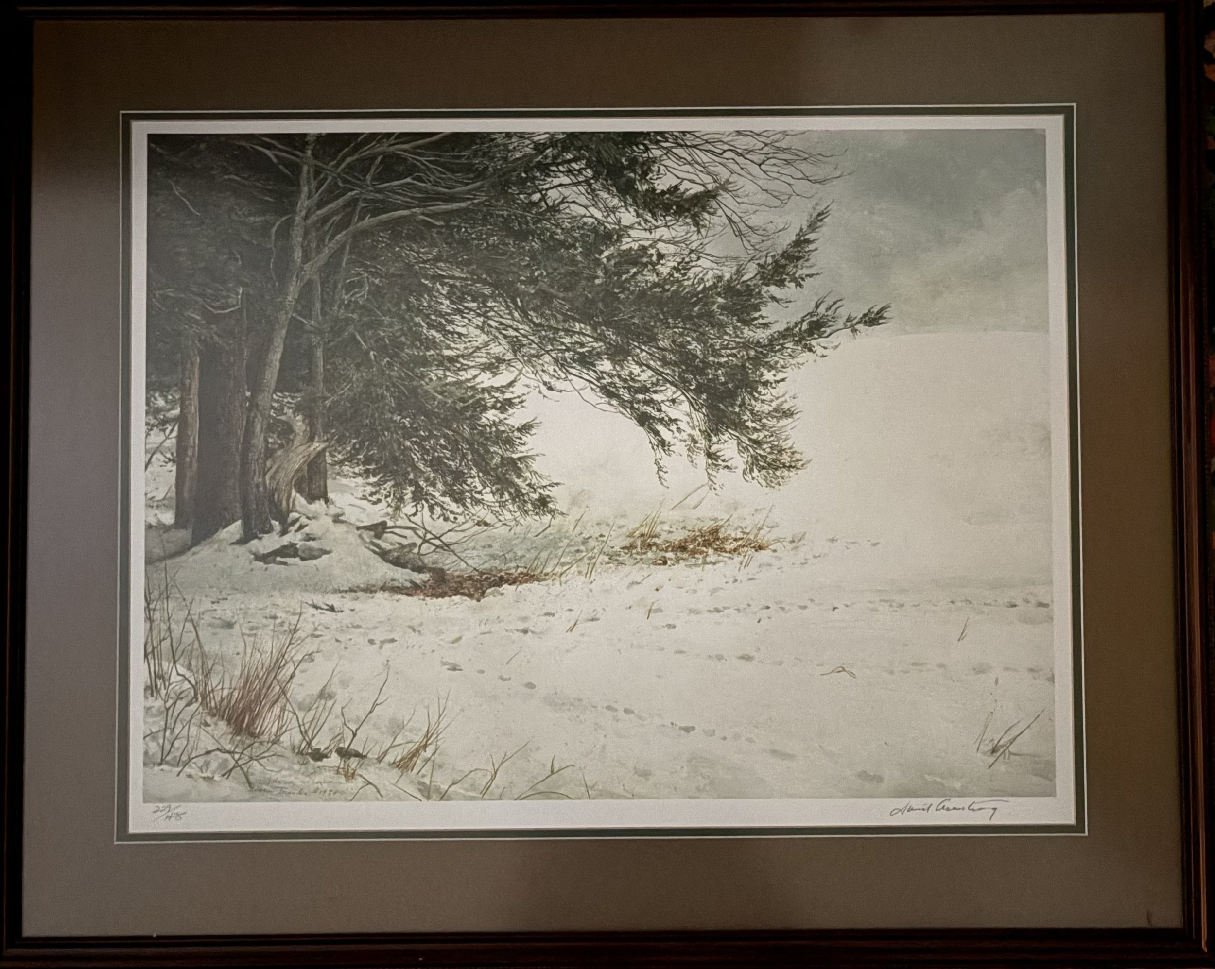 "Deer Tracks," by David Armstrong