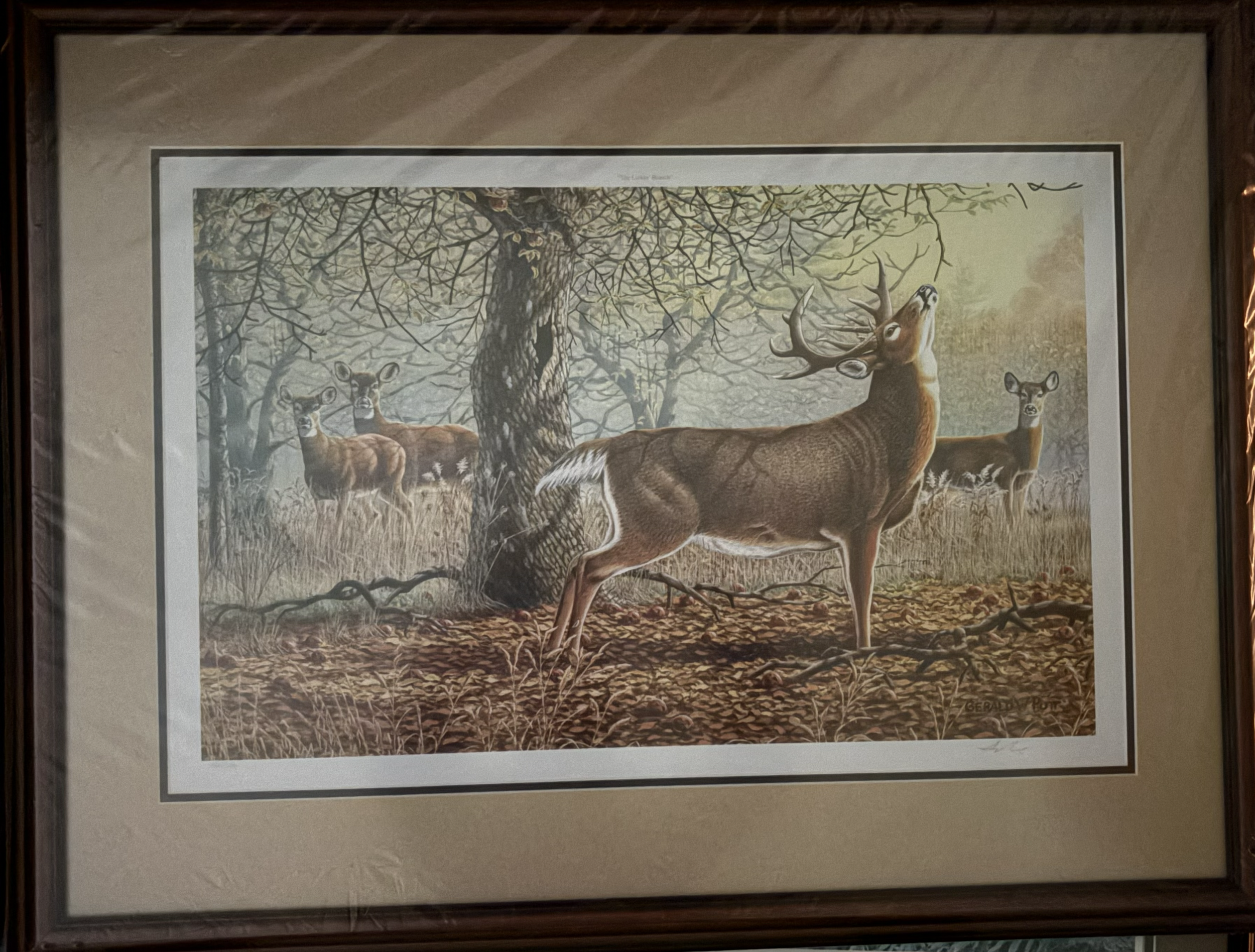 "The Lickin' Branch," Gerald Putt