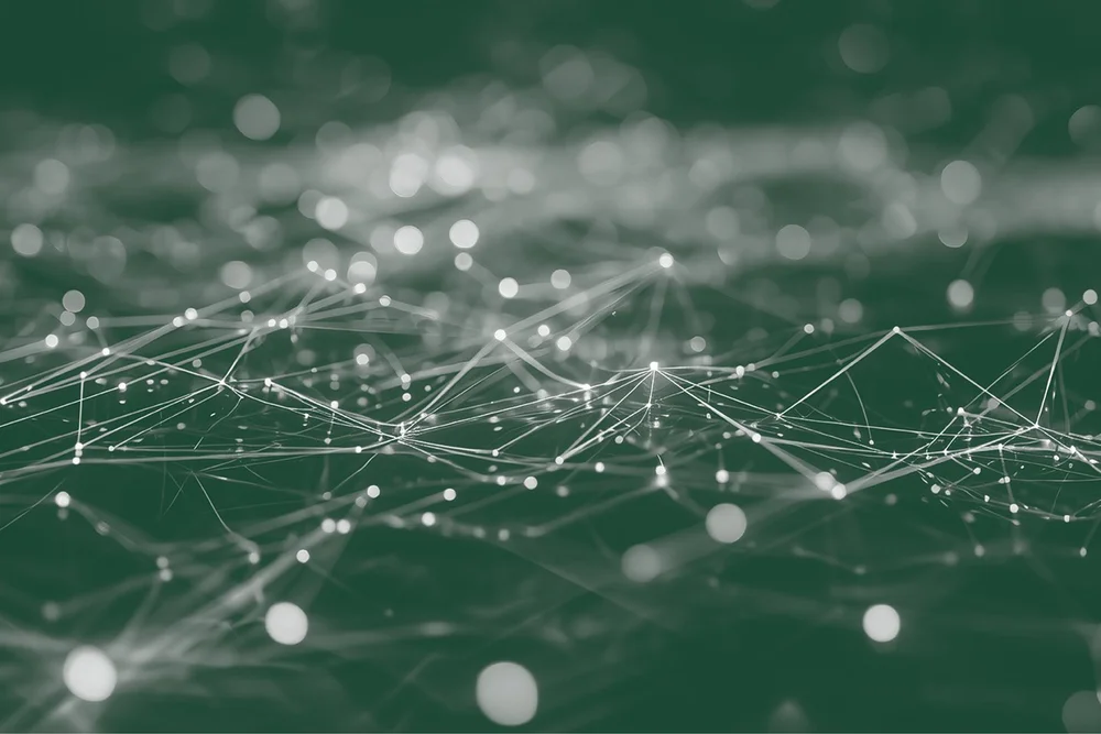 Lasernet: Document Creation, Design & Distribution | Holly Grove
