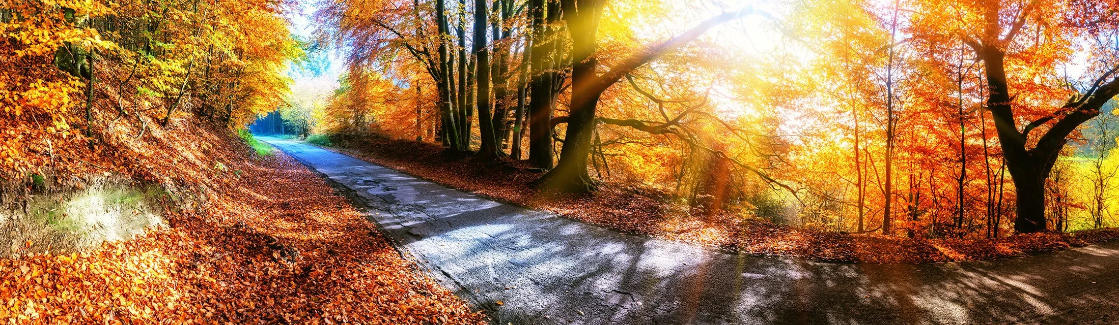 autumn-landscape-header.jpeg