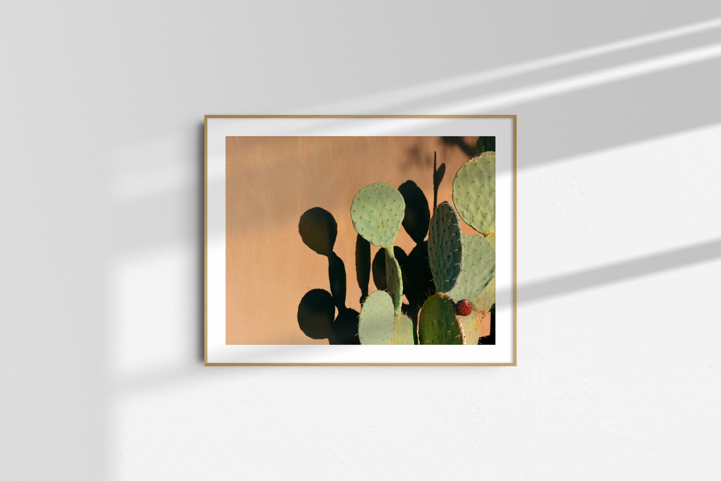 04-4x5-LANDSCAPE-frame-01.jpg