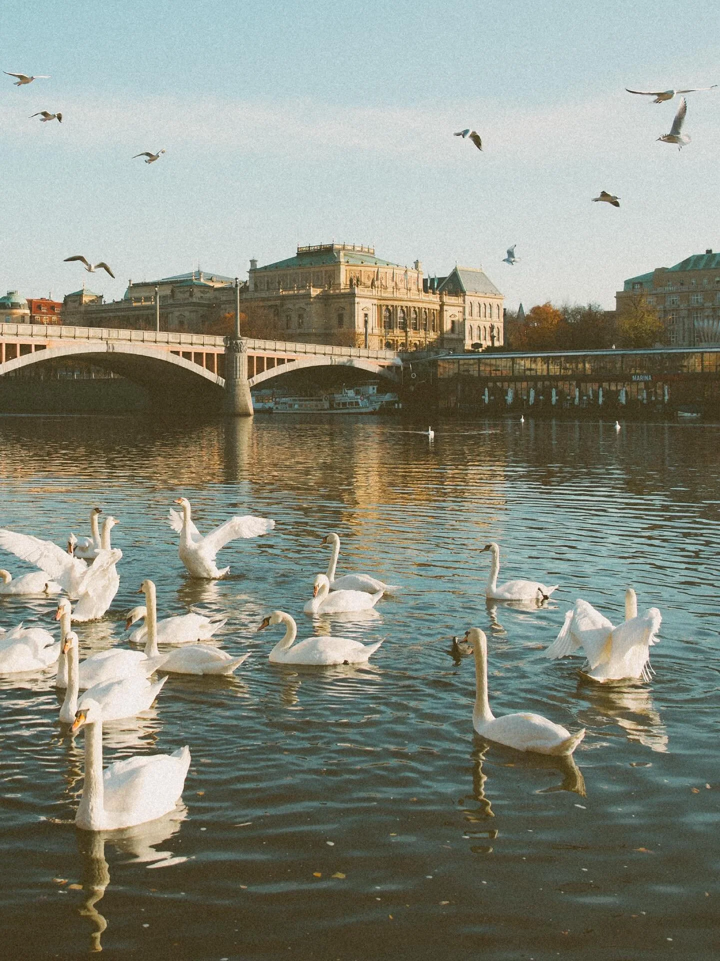 A little treat (no tricks 🎃👻) for your phone. Wallpaper Wednesday is up in stories now! Including this shot from a dreamy autumn we had in Prague. #wallpaperwednesday