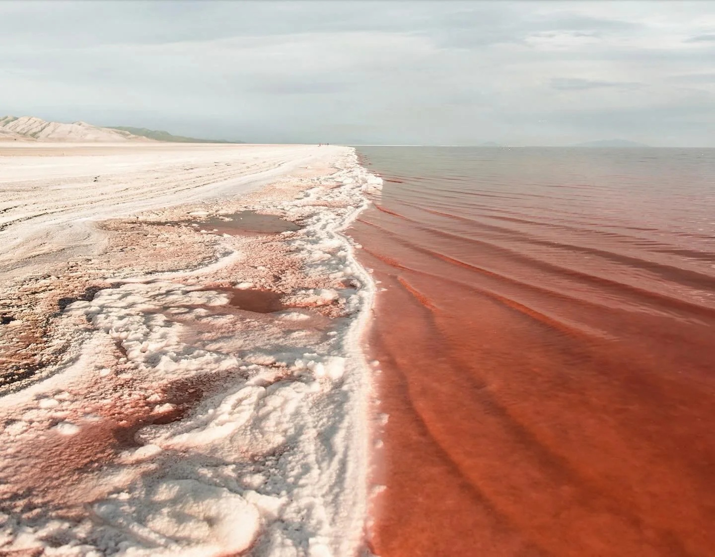 Wallpaper reset time! This week&rsquo;s WW are up in stories now. Hope you&rsquo;re all surviving the post-Halloween sugar crash mixed in with Daylight Savings ending 💀 Yesterday I accidentally ripped out a huge section of my eyelashes and we ran ou