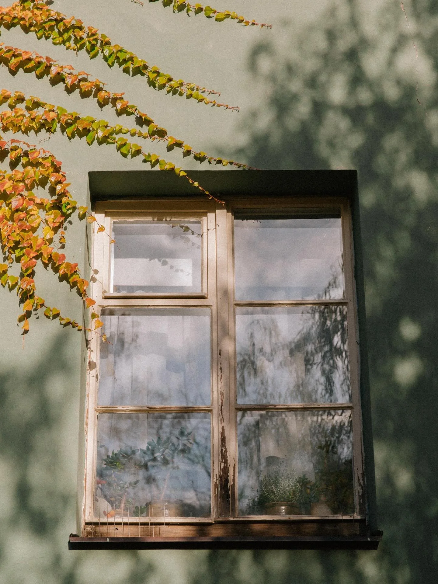 Wallpaper reset time! Head over to stories to screenshot 🫶 #wallpaperwednesday