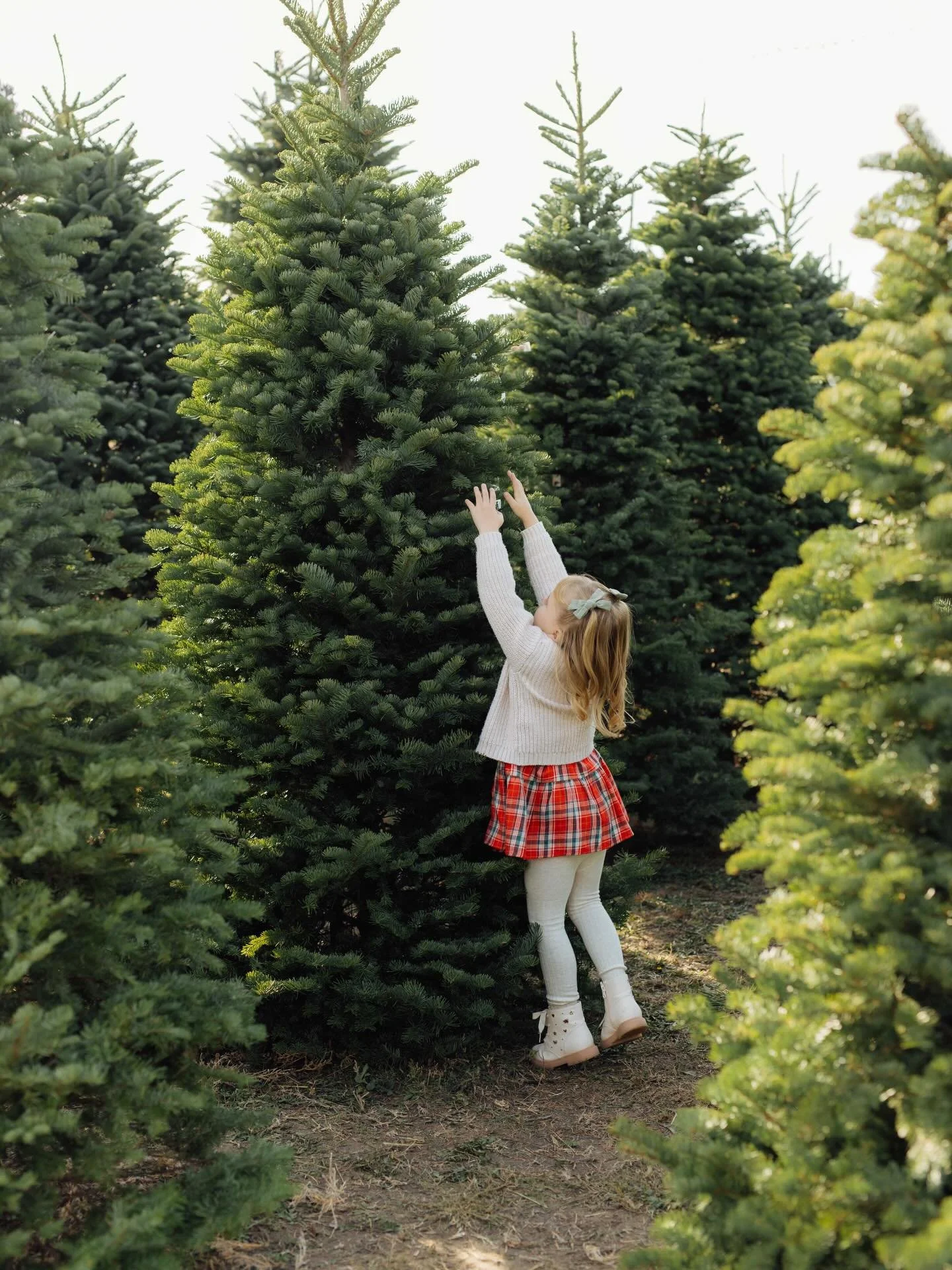 Christmas mode activated!! 🎄✨&hearts;️ Especially since we&rsquo;re 90% done with our shopping. Now we can just focus on the magic and chocolate oranges 🙌