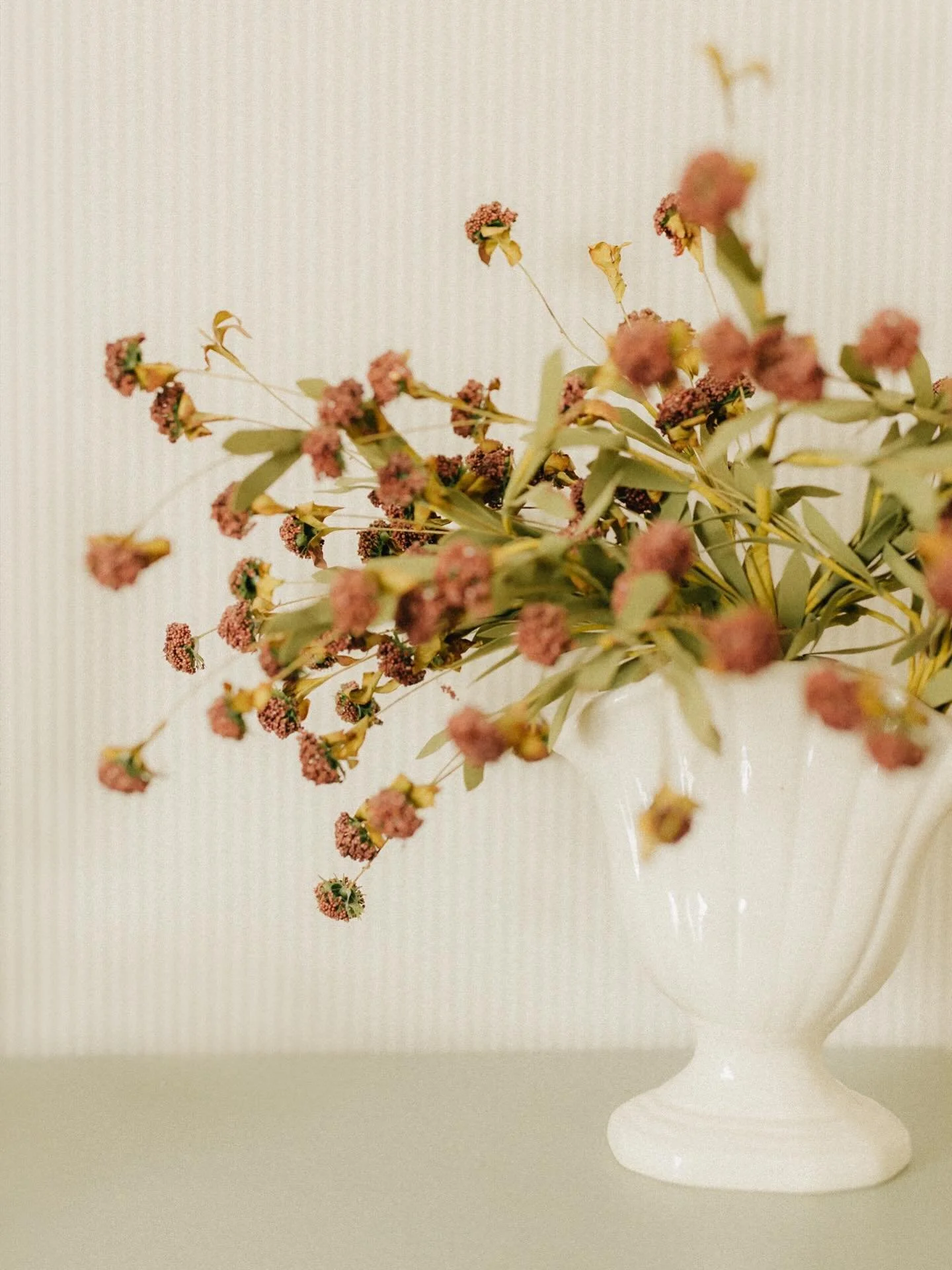 It&rsquo;s Wednesday! And that means your weekly wallpapers are in my stories and ready when you are. From my lens to you! 🥰 #wallpaperwednesday