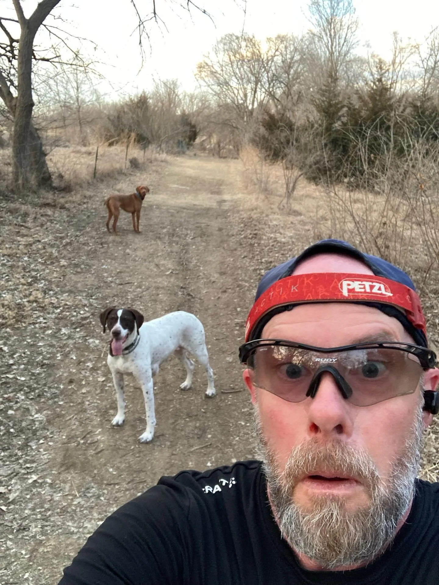 Happy National Pet Day from the pets of the PoWER Lab!🐾⚡️ Have a PAWsome weekend!