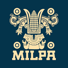 MILPA Collective (MILPA) is, first and foremost, a movement space designed for, and led by, formerly incarcerated and system-impacted individuals. We are committed to supporting next-generation infrastructure and leadership within communities, organi