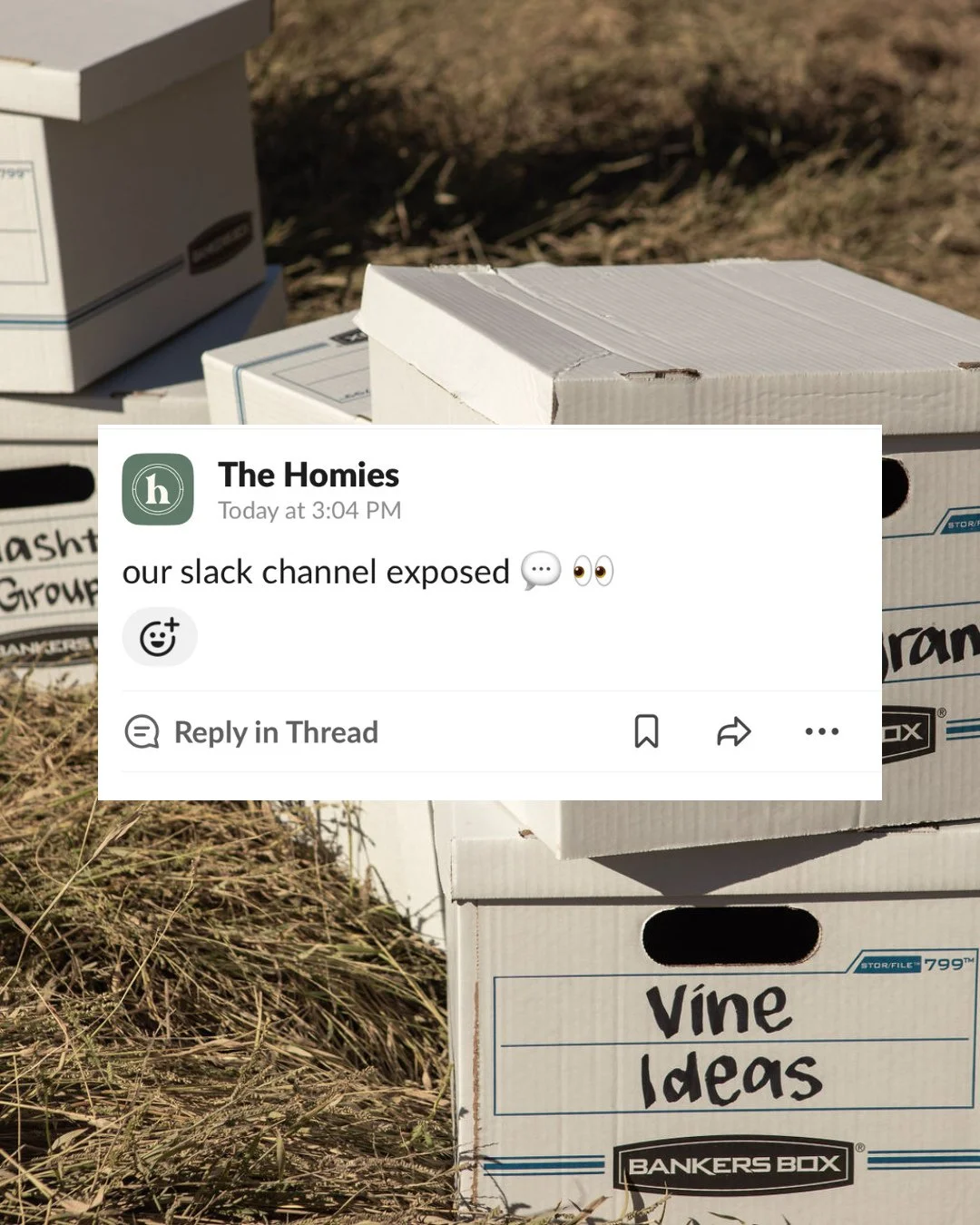 EXPOSED 🗃️: a peek into the homies' slack channel... consider this your comedic relief for the week 🤭