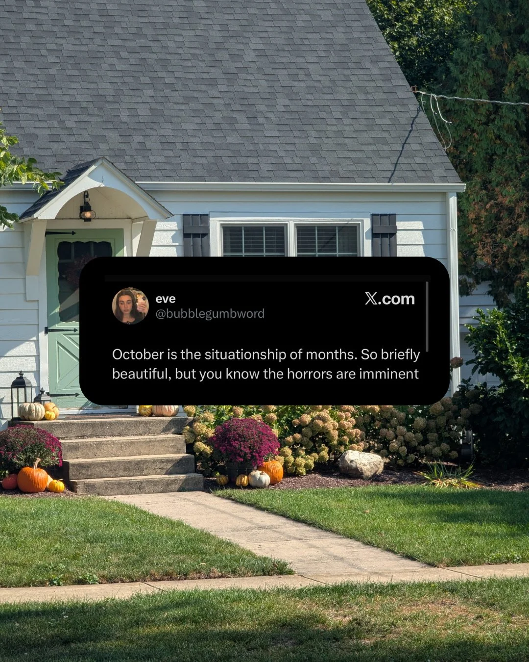 the tension between me and a scroll break in the middle of my work day &gt;&gt;&gt;