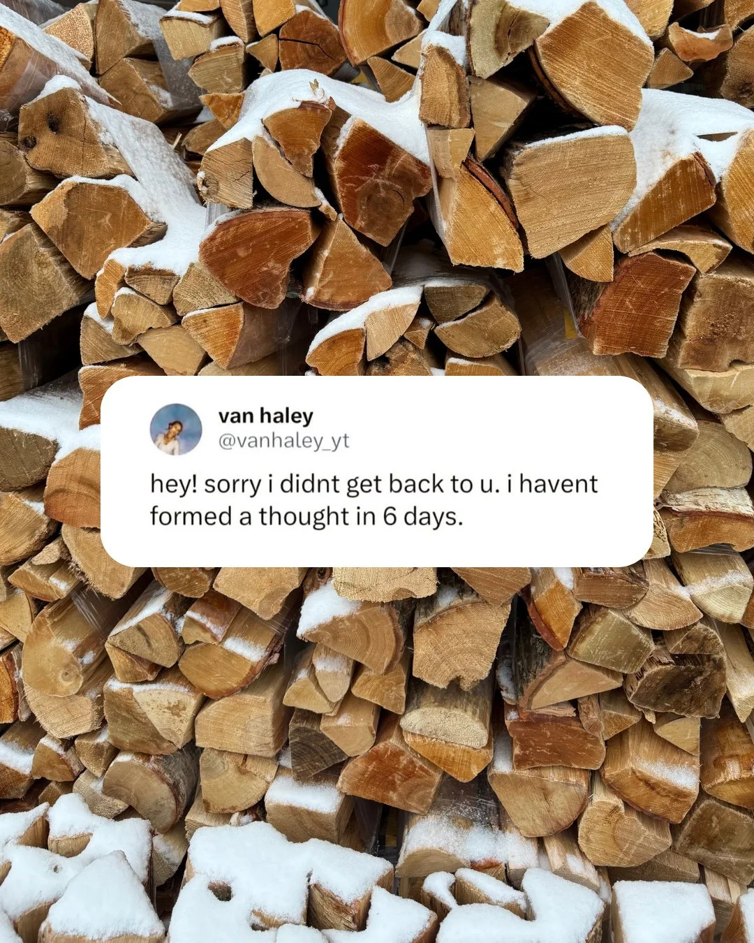 we're officially 16 days into 2026 and i think i've used all my brain power 😵&zwj;💫