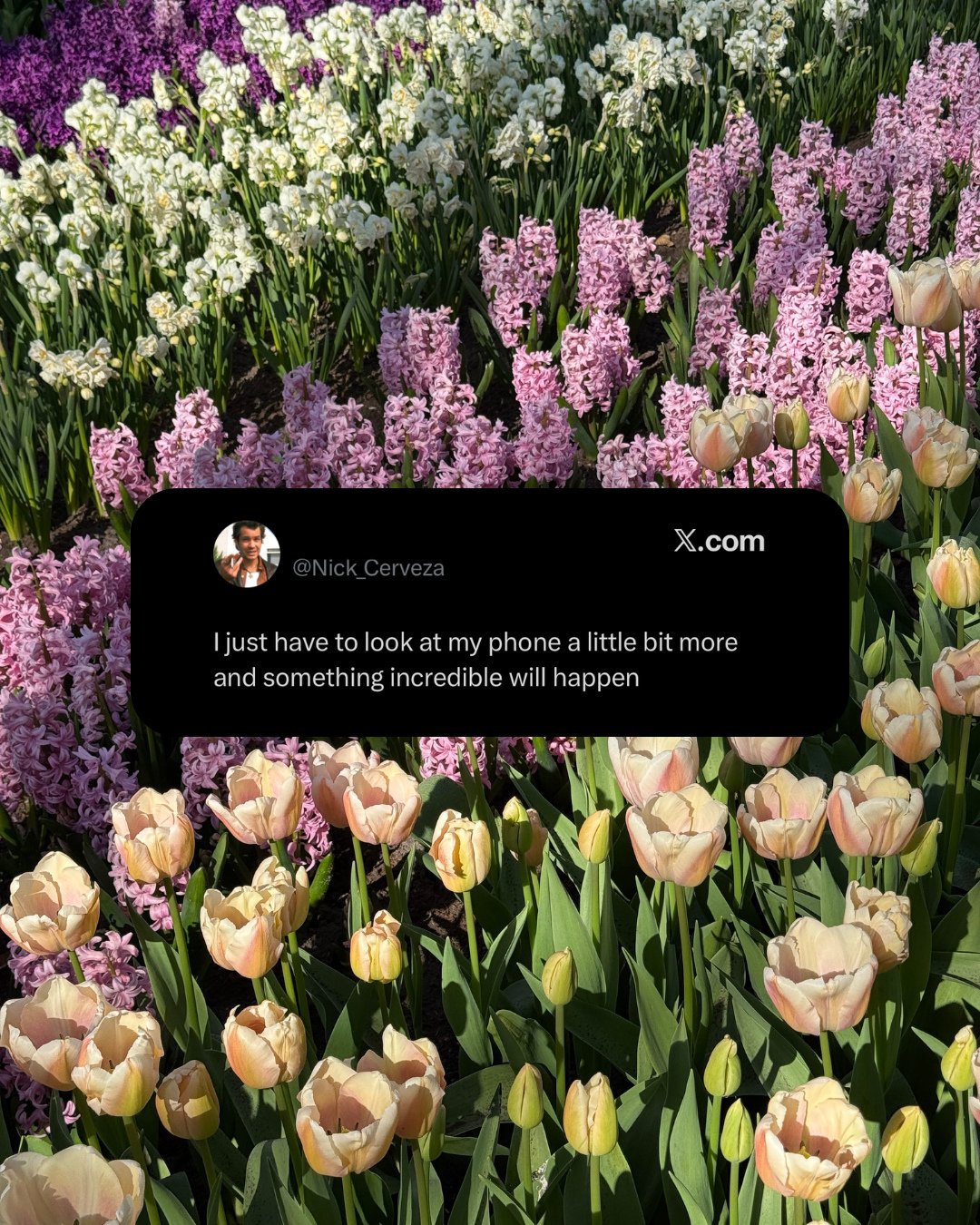 BSE = big stressful energy 🥲