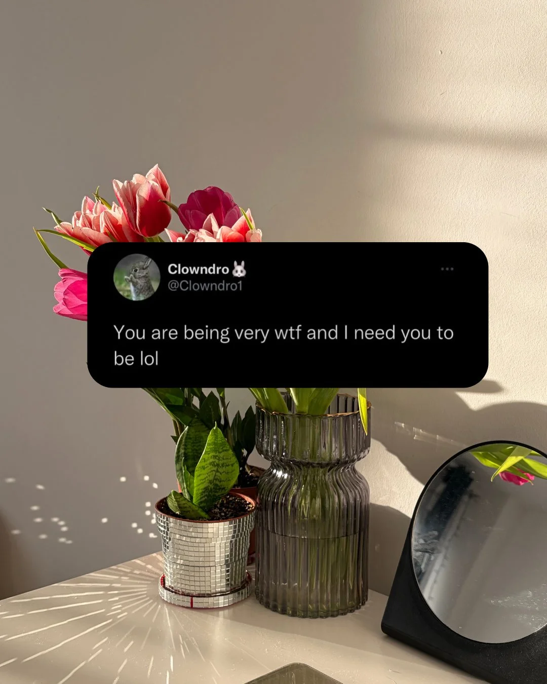 everybody start being lol right now!!! 🫡