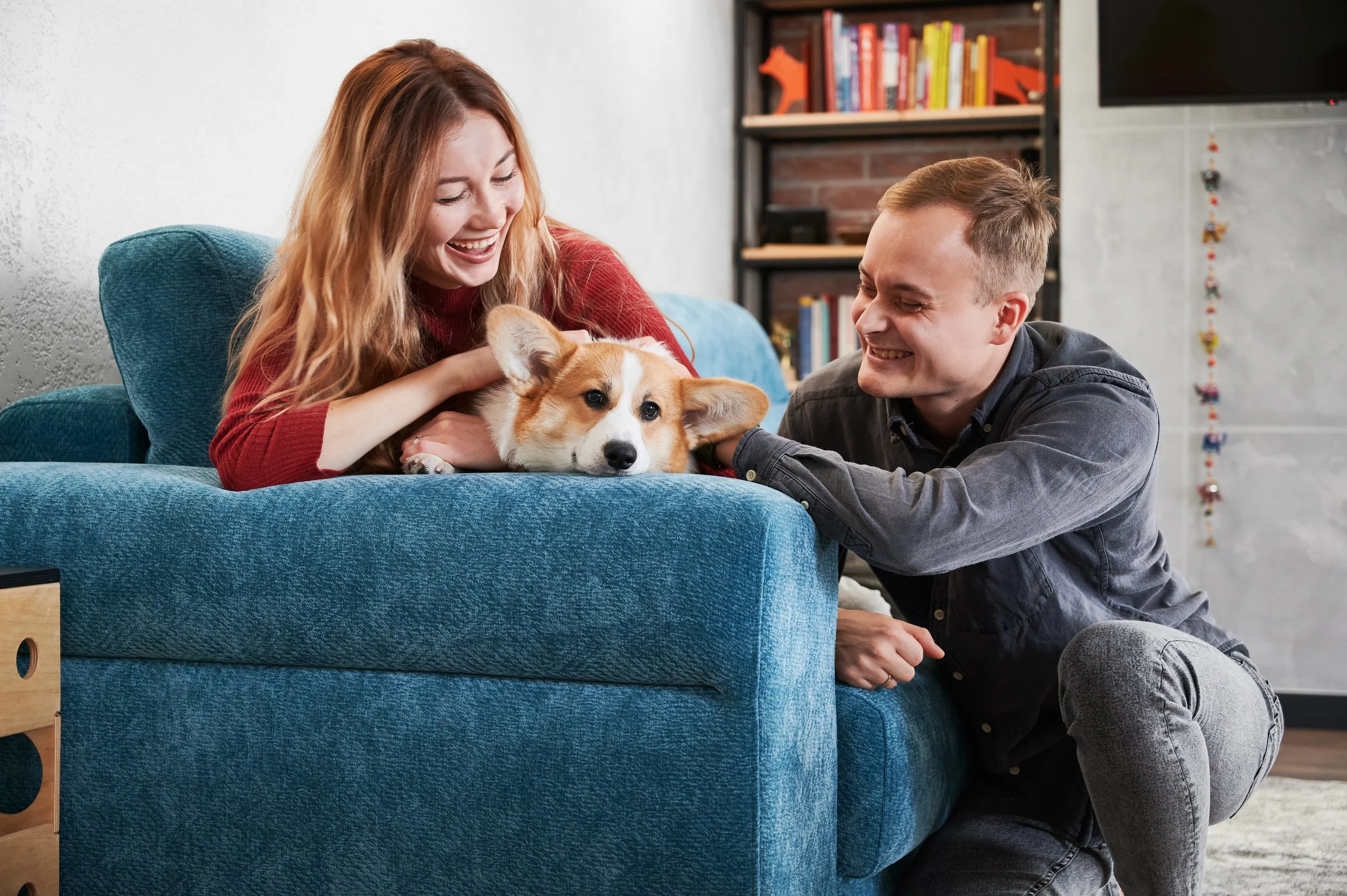 cheerful-young-couple-petting-cute-dog-home.jpg