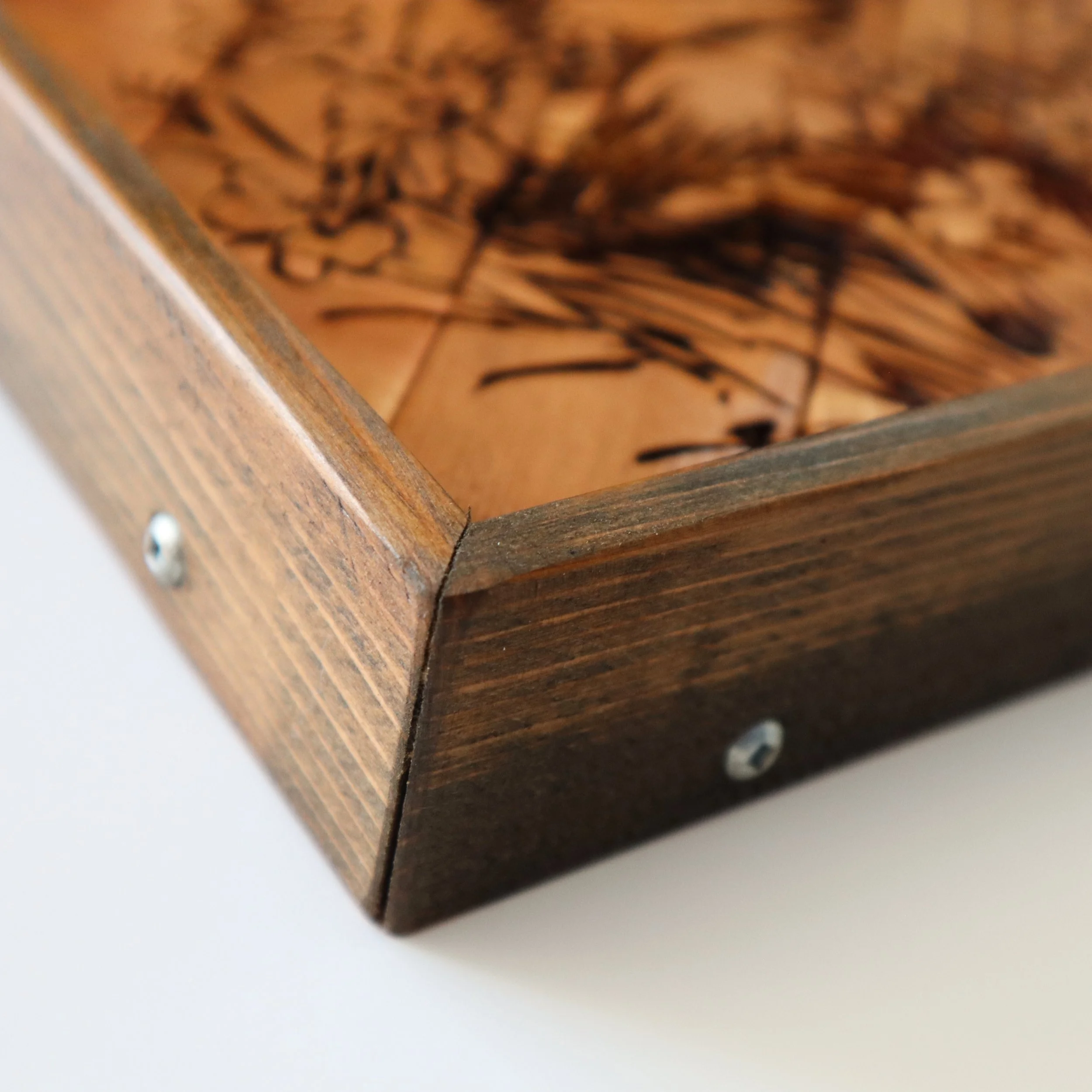 BearHugs5.jpg (Copy)