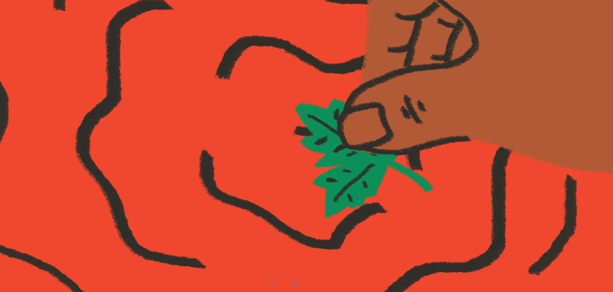 Screen Shot 2022-05-11 at 5.19.48 PM.png