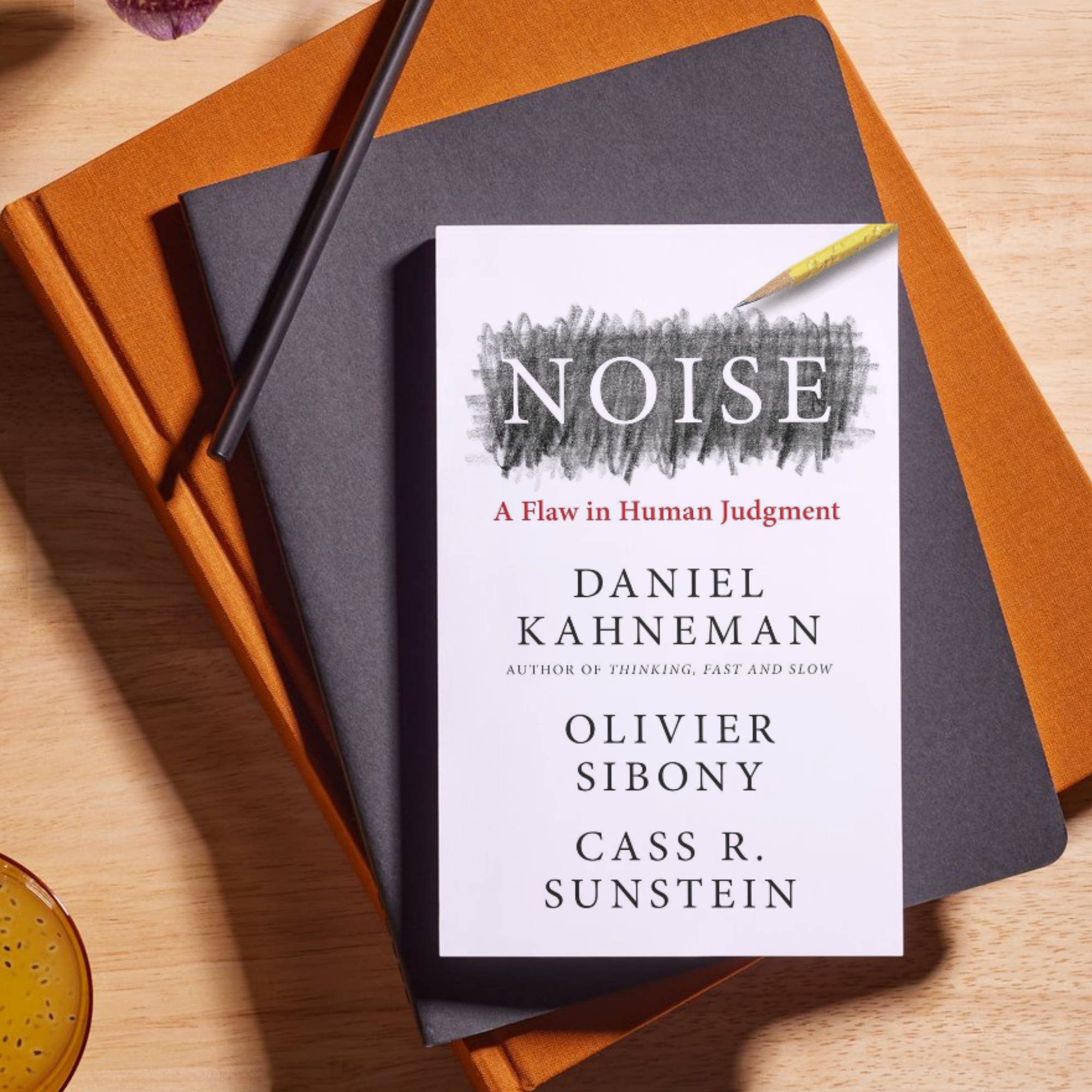 Noise A Flaw in Human Judgment