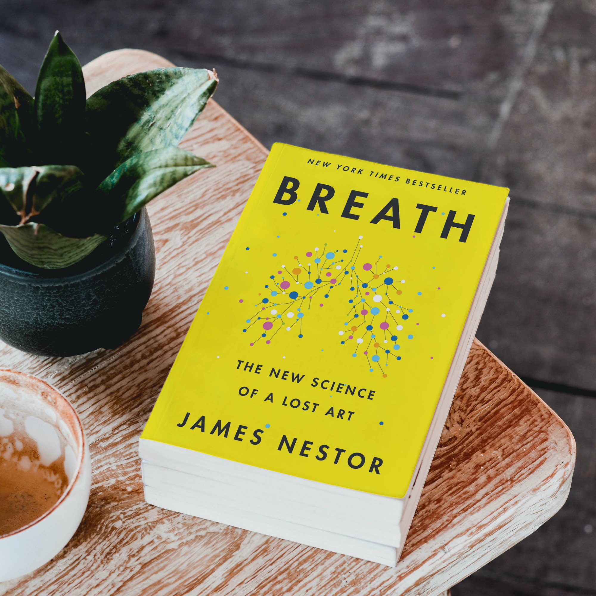 Breath by James Nestor