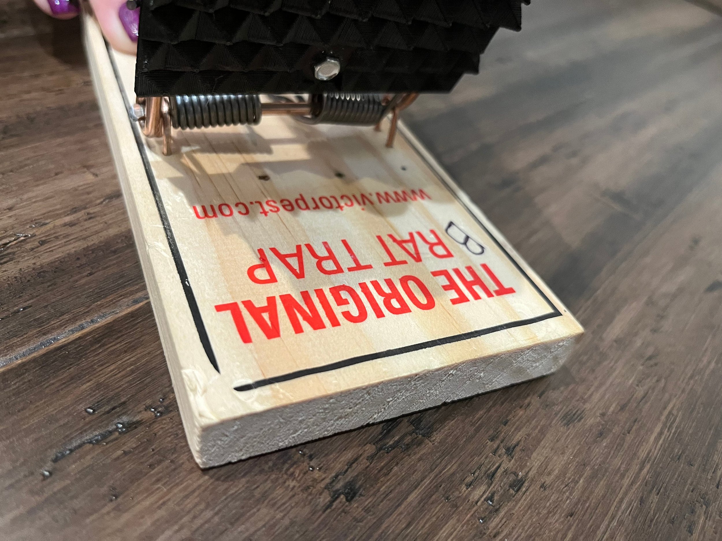https://i.etsystatic.com/12590997/r/il/53dca9/4134312104/il_fullxfull.4134312104_snus.jpg