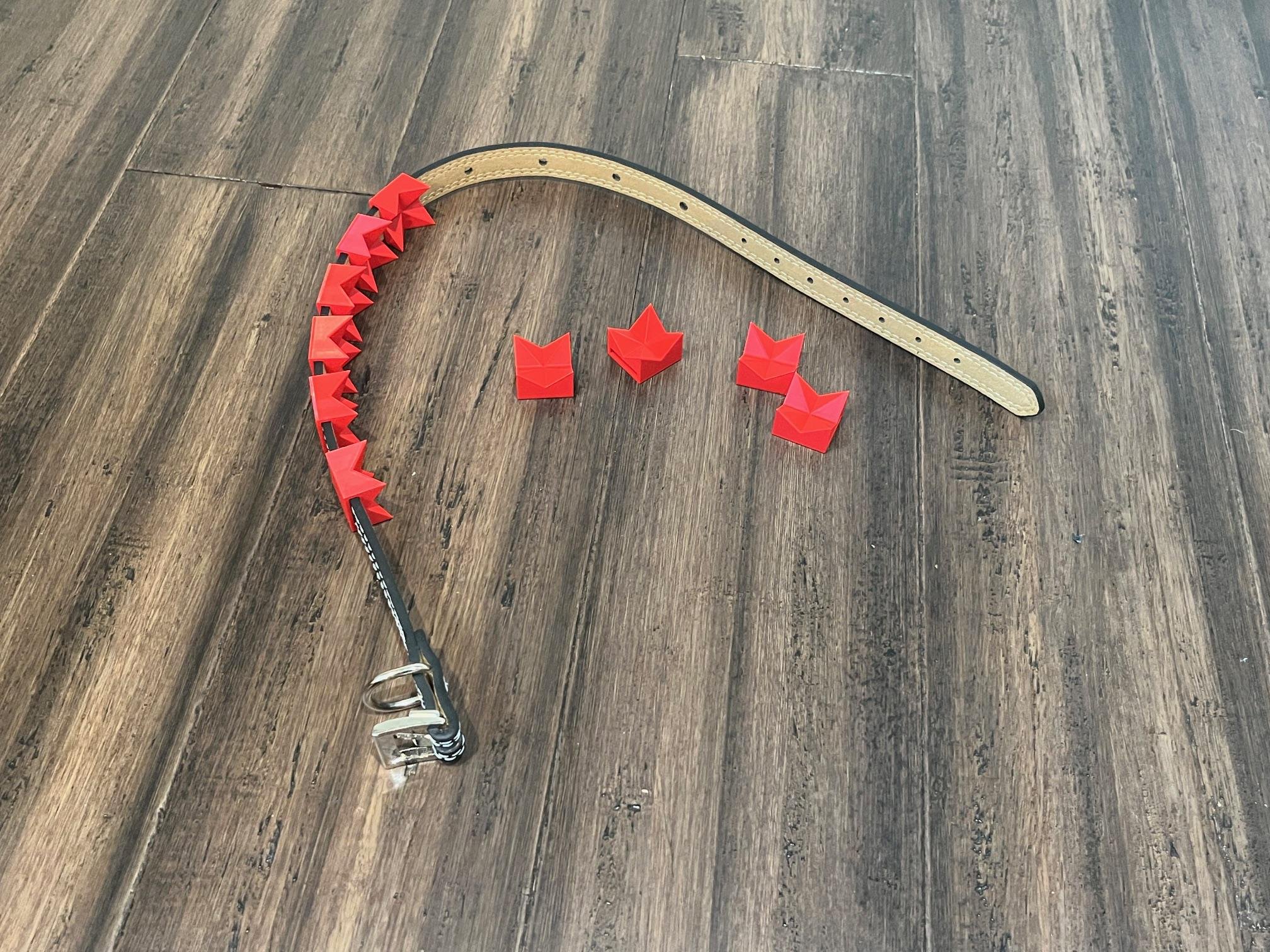 https://i.etsystatic.com/12590997/r/il/255136/6185483898/il_fullxfull.6185483898_lndl.jpg