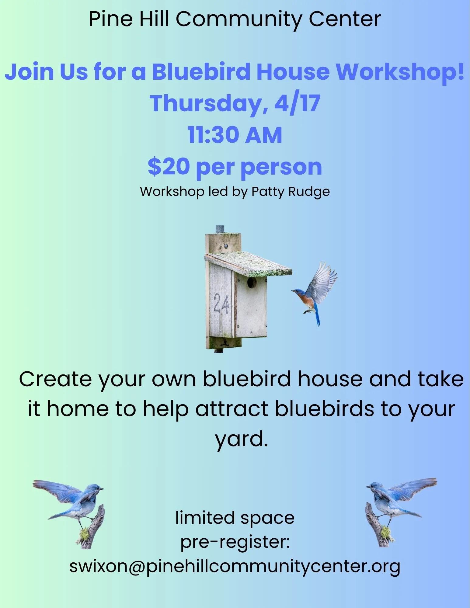 BlueBird House Build Workshop