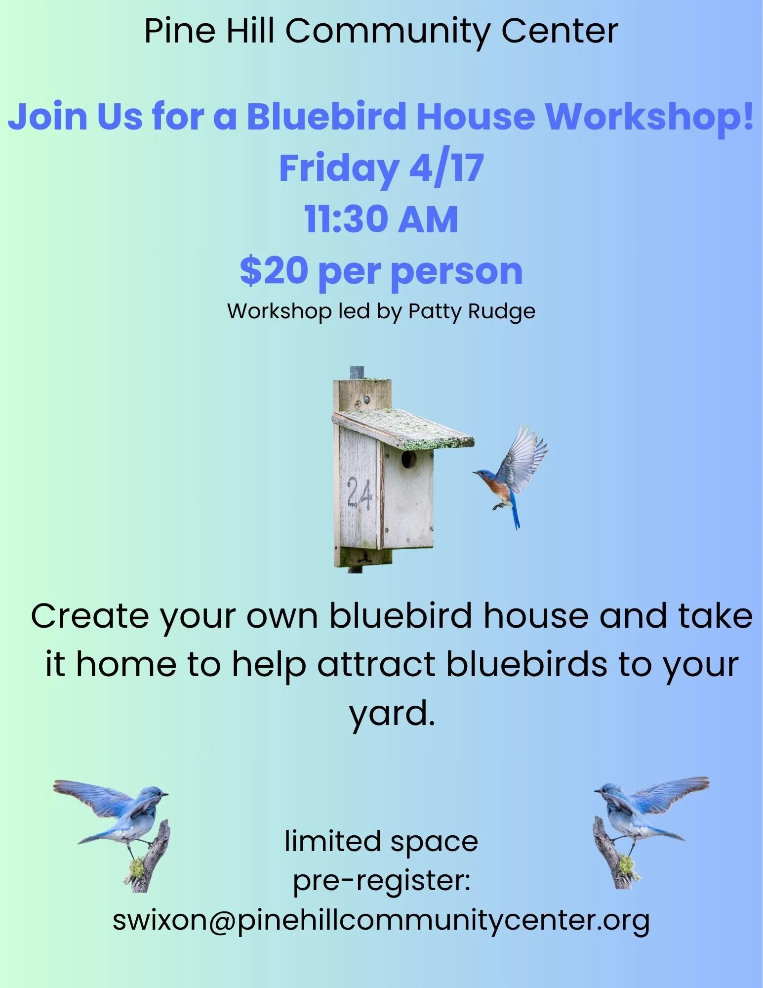 BlueBird House Build Workshop