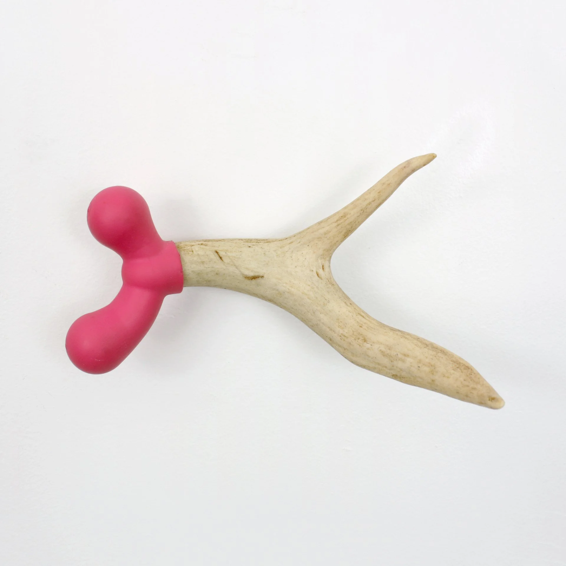 Steve Novick, "Root," antler and found rubber object, 4 x 7 x 3 inches.