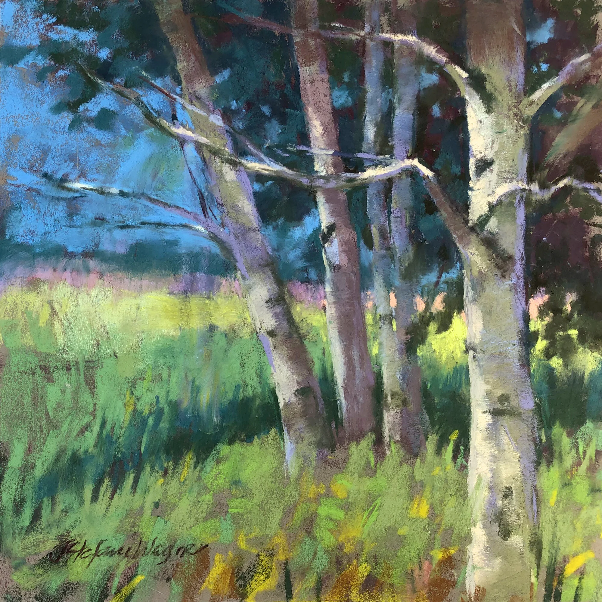Jill Stefani Wagner, "Birches", pastel, 12" x 12"