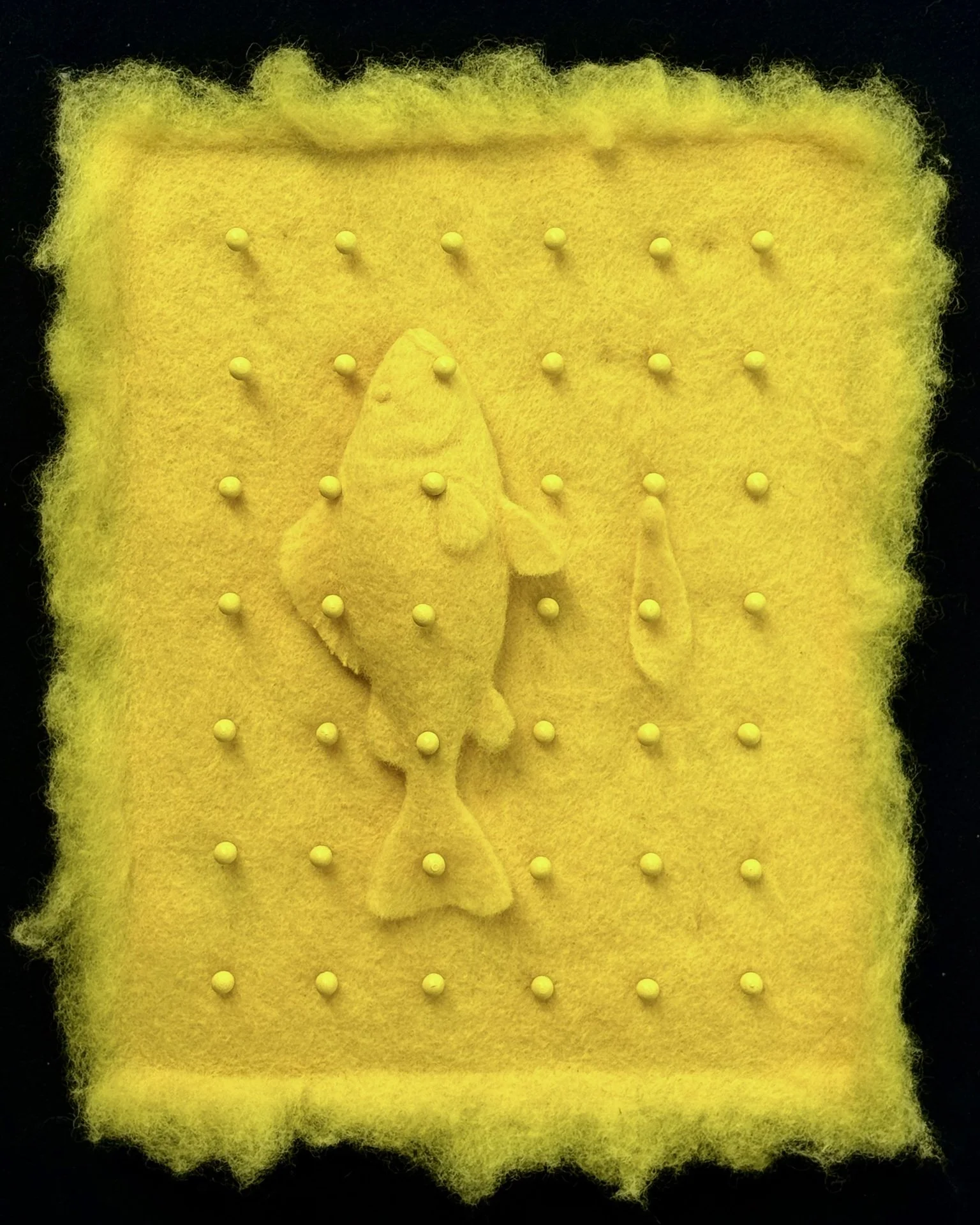 Schmitt_000028_791388_635218_17967.jpg