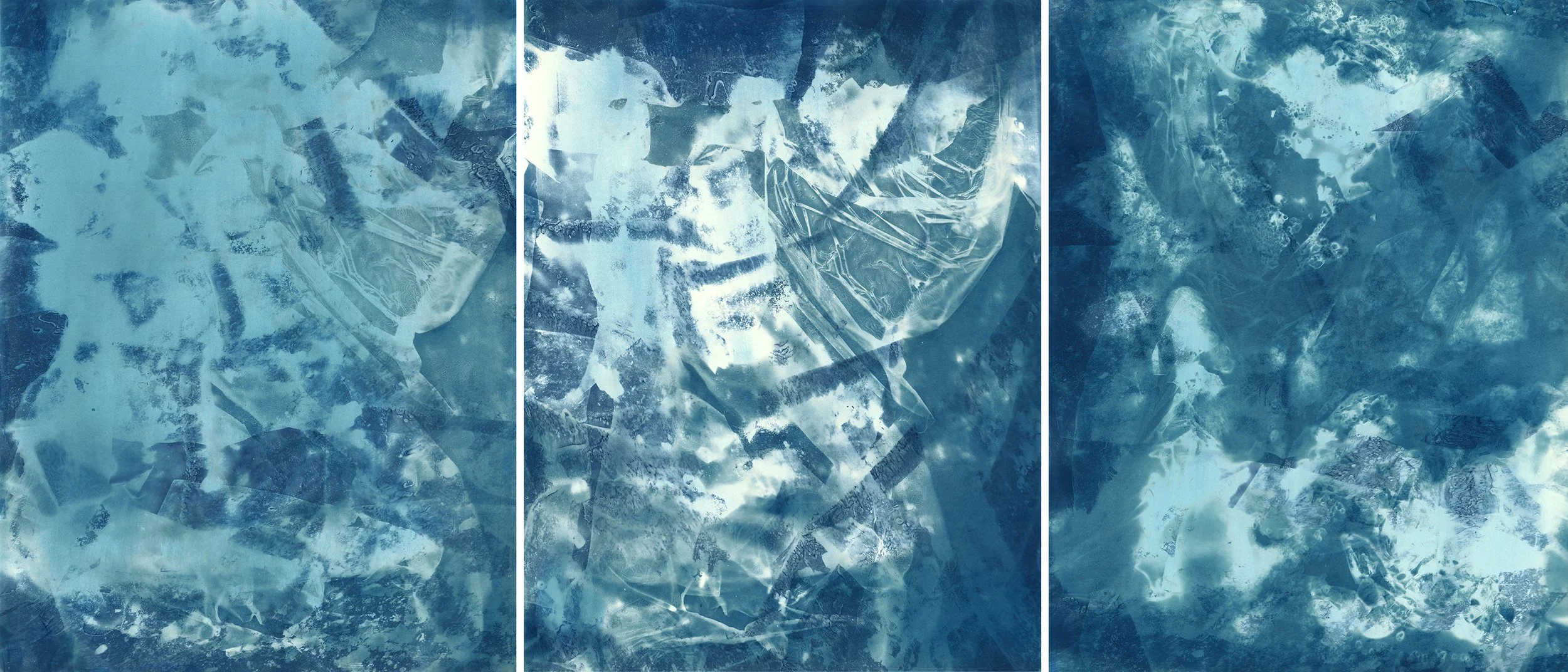 Brent Dedas, "Architecture and Tears of Ra No. 033," cyanotype, honeybees, earth, contruction materials, 74 x 36 inches.