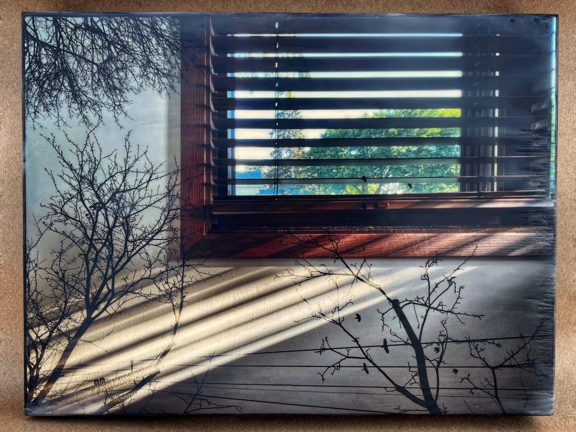 Merry Reimler, "Some Birds Make it Look Easy," encaustic, 9 x 12 inches.