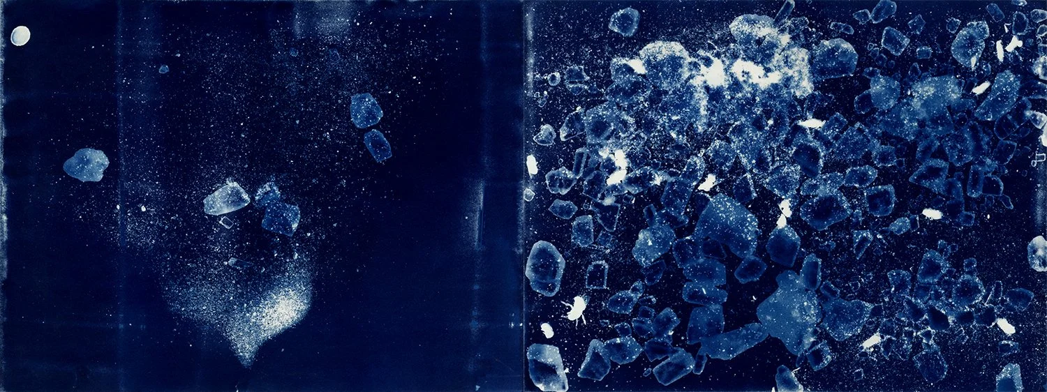 Brent Dedas, "Light, Time, Labor, Dust No. 104," cyanotype, dead honeybees, earth, salt, 12.5 x 27.5 inches.