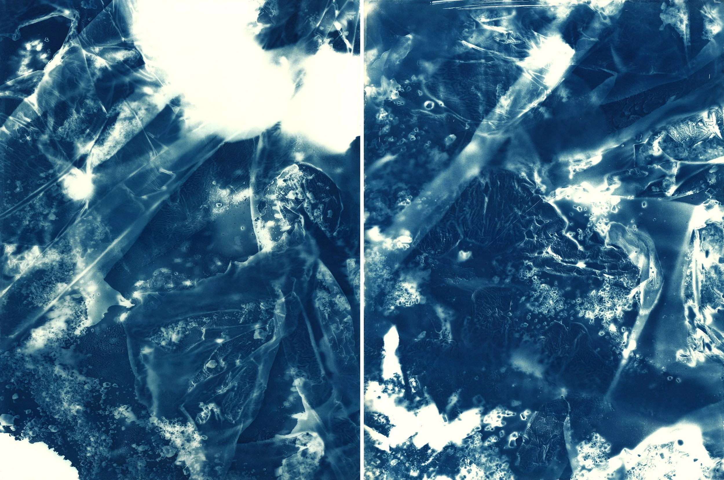 Brent Dedas, "Cosmic Light and Ghosts," cyanotype, honeybees, earth, construction materials, 74 x 36 inches.
