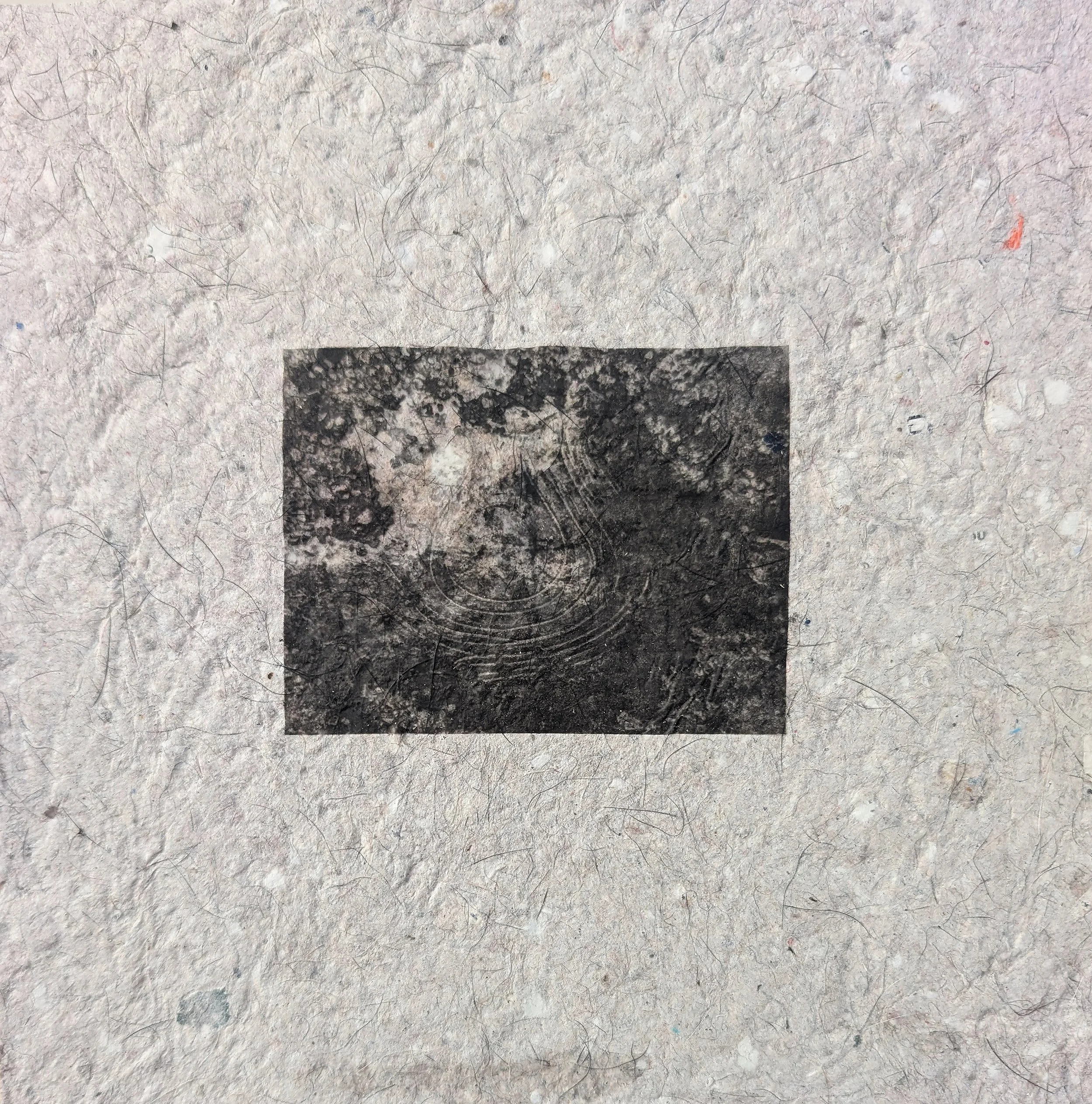 Kathleen Pahl, "My ancestors drew these lines
On their bodies. They were burned at the stake,
Called witches, But they were children of the Earth, She welcomed them home, They sifted through her roots," Transfer on handmade debris paper, 8 x 8 inches