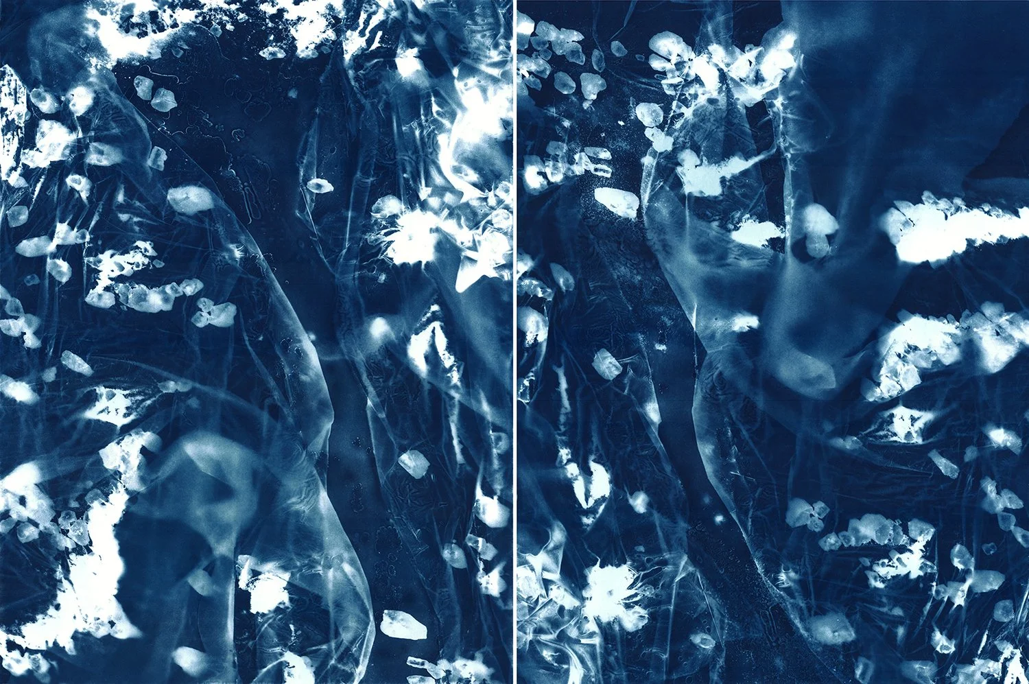 "Cosmic Light and Ghosts No.409", cyanotype, honeybees, earth, and construction materials, 30 x 46 inches