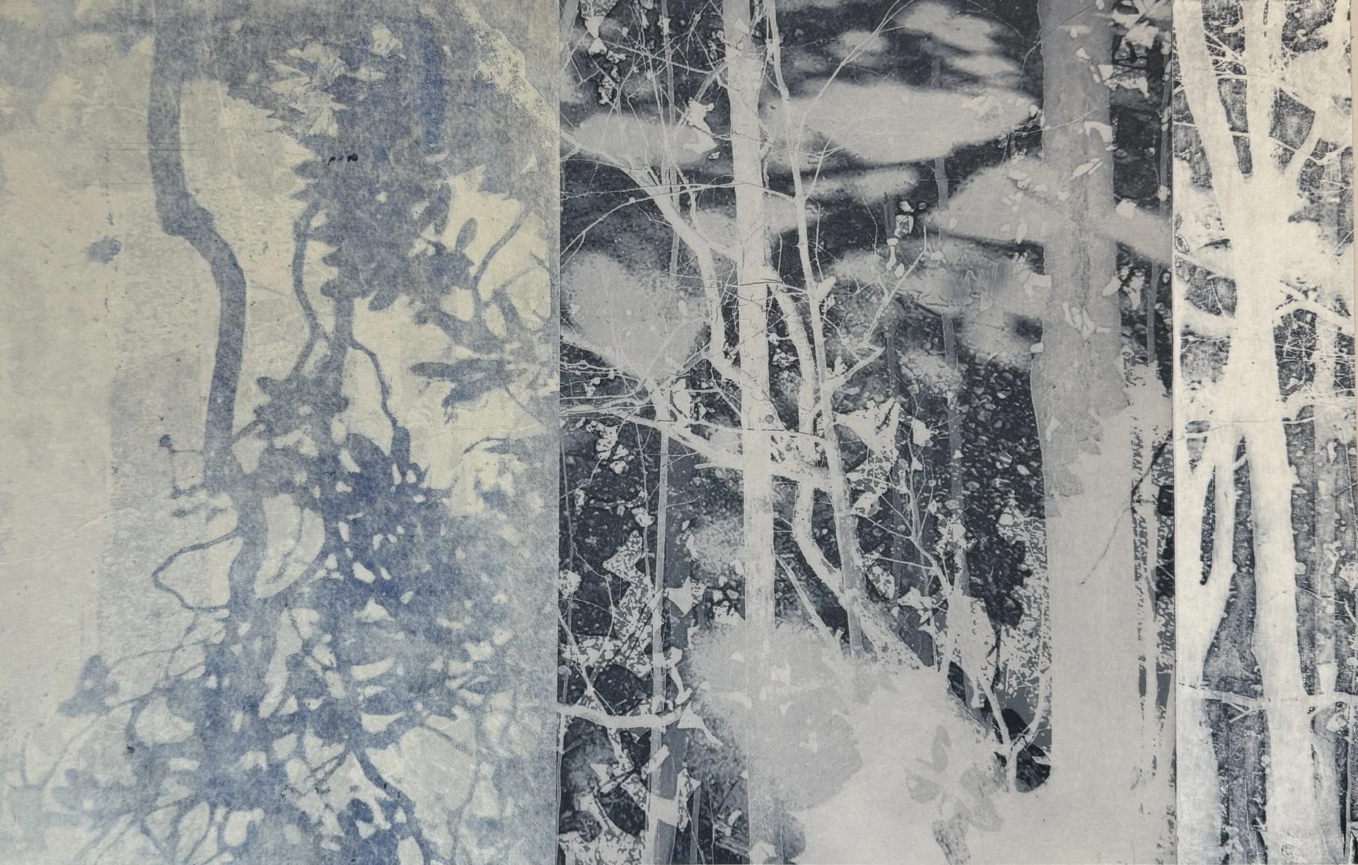 Sally Frank, "Forest Lights," collaged intaglio, 10.5 x 16.5 inches.