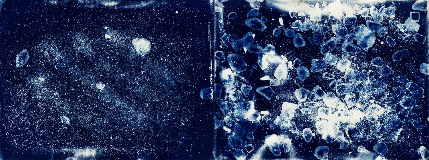 Brent Dedas, "Light, Time, Labor, Dust No. 105," cyanotype, dead honeybees, earth, salt, 12.5 x 27.5 inches.